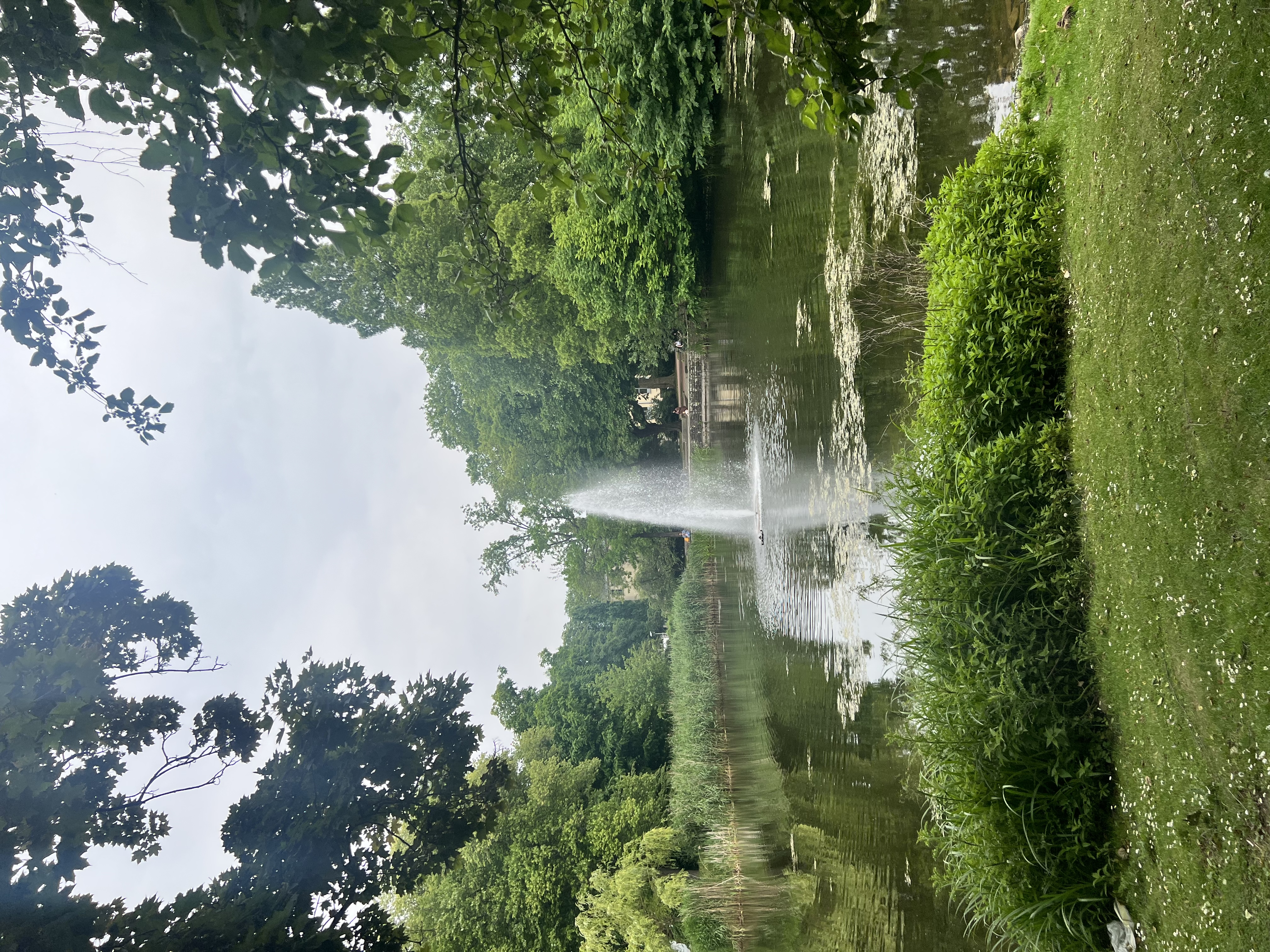 image-20