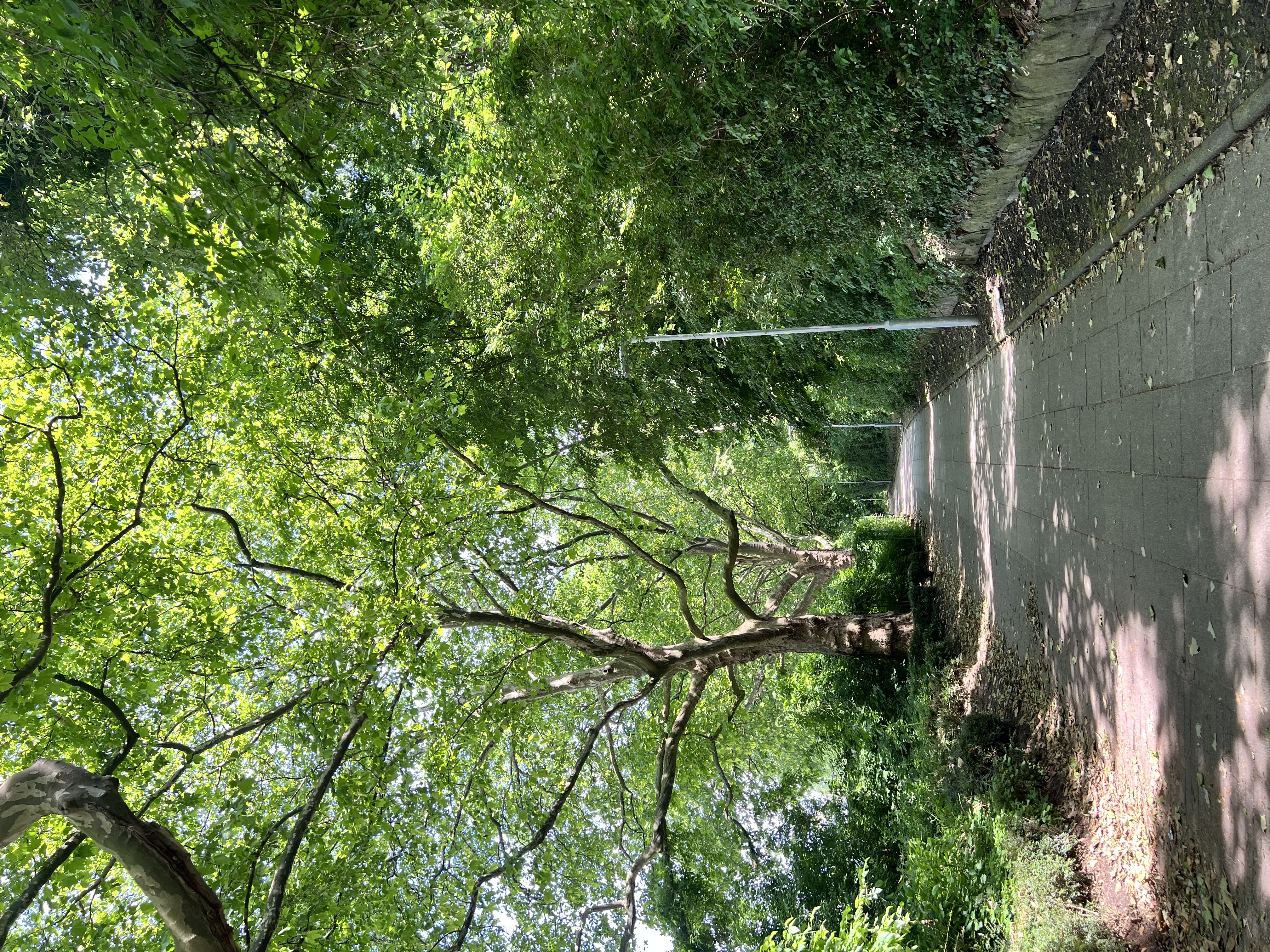 image-26