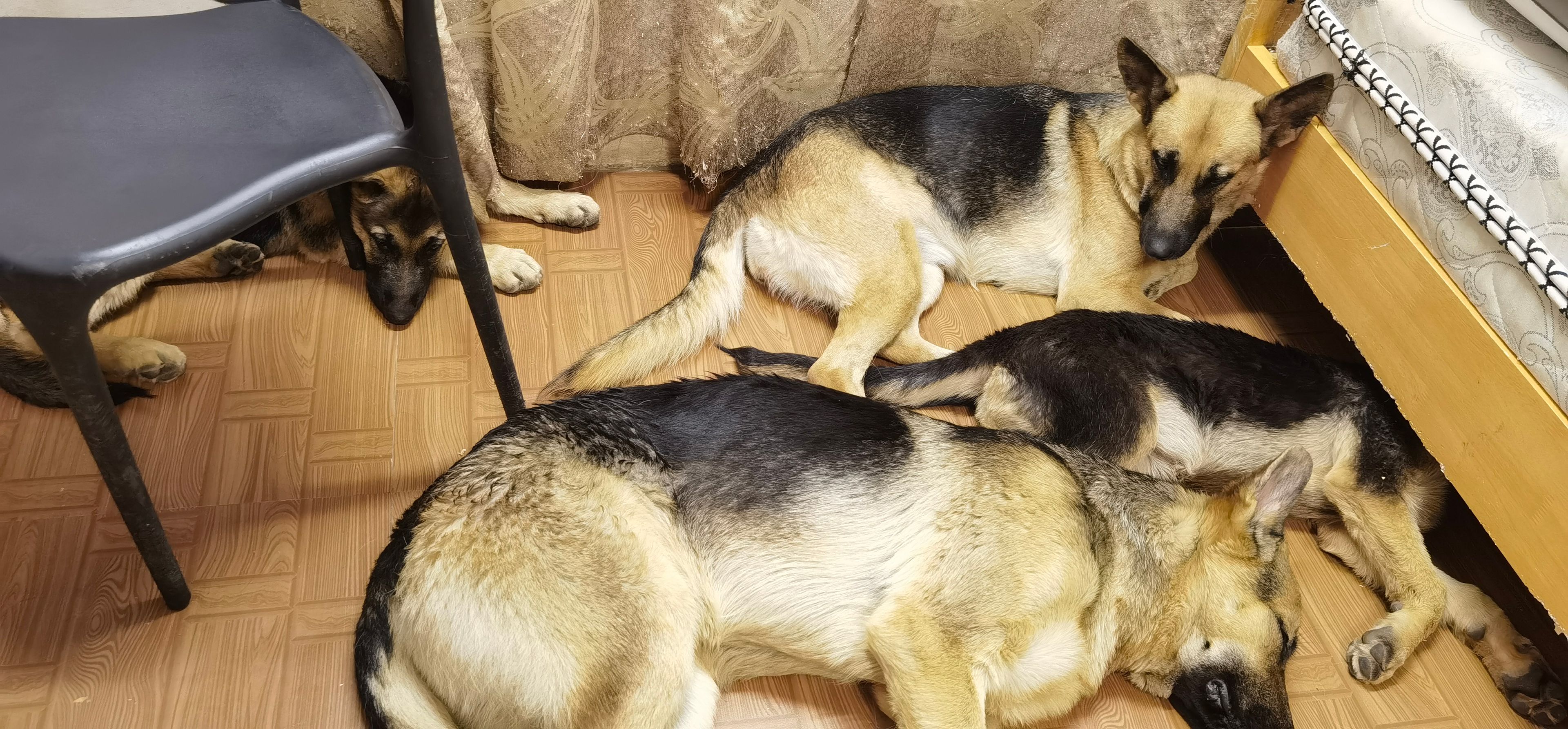 image-6