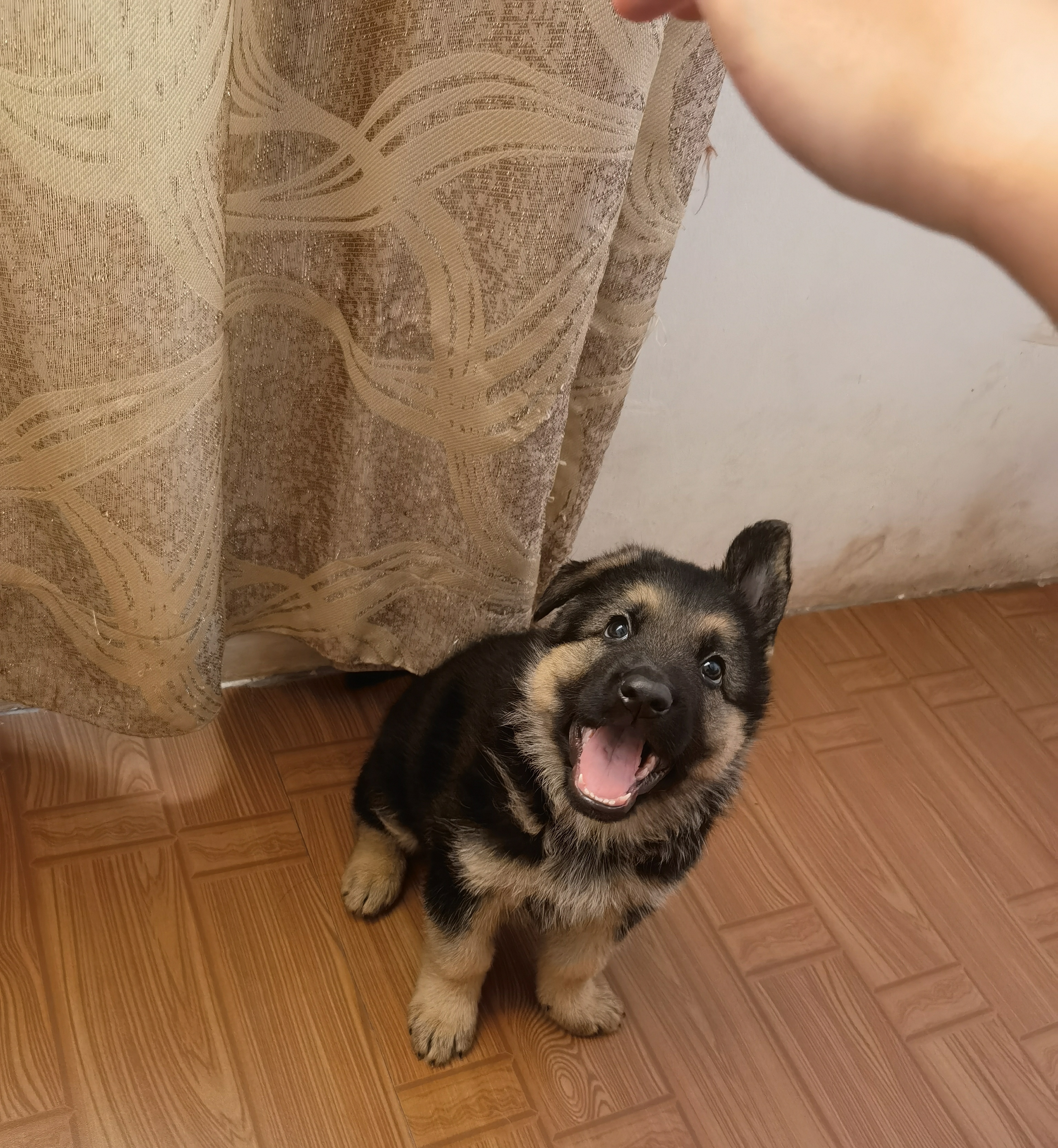 image-10