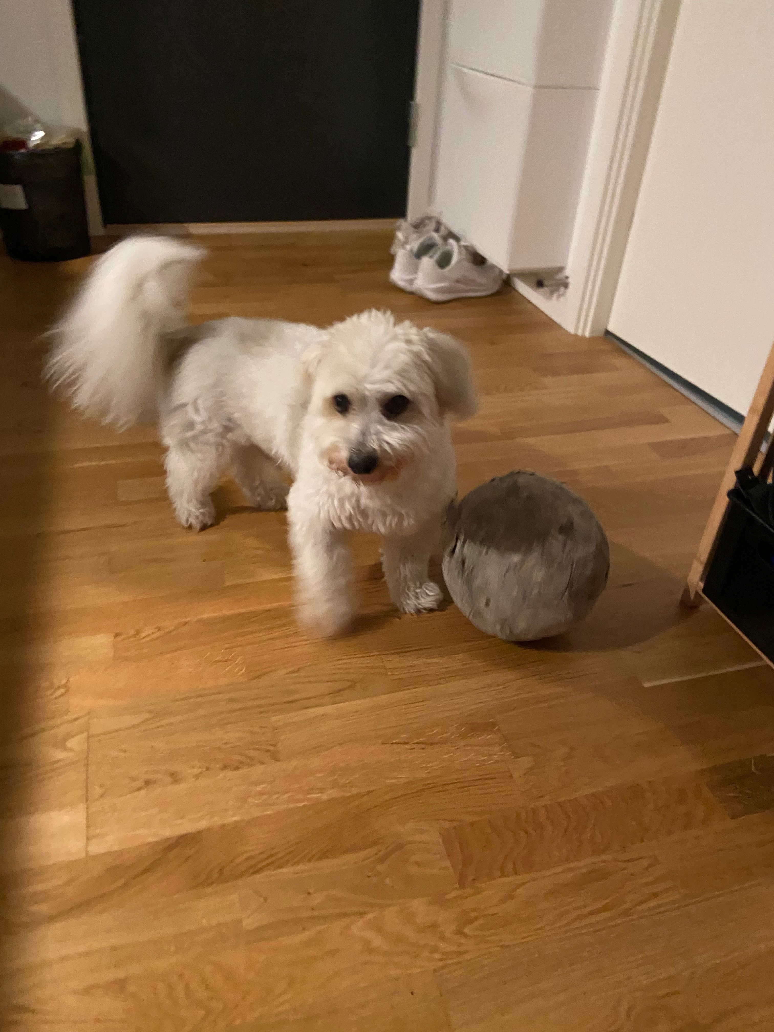 image-9