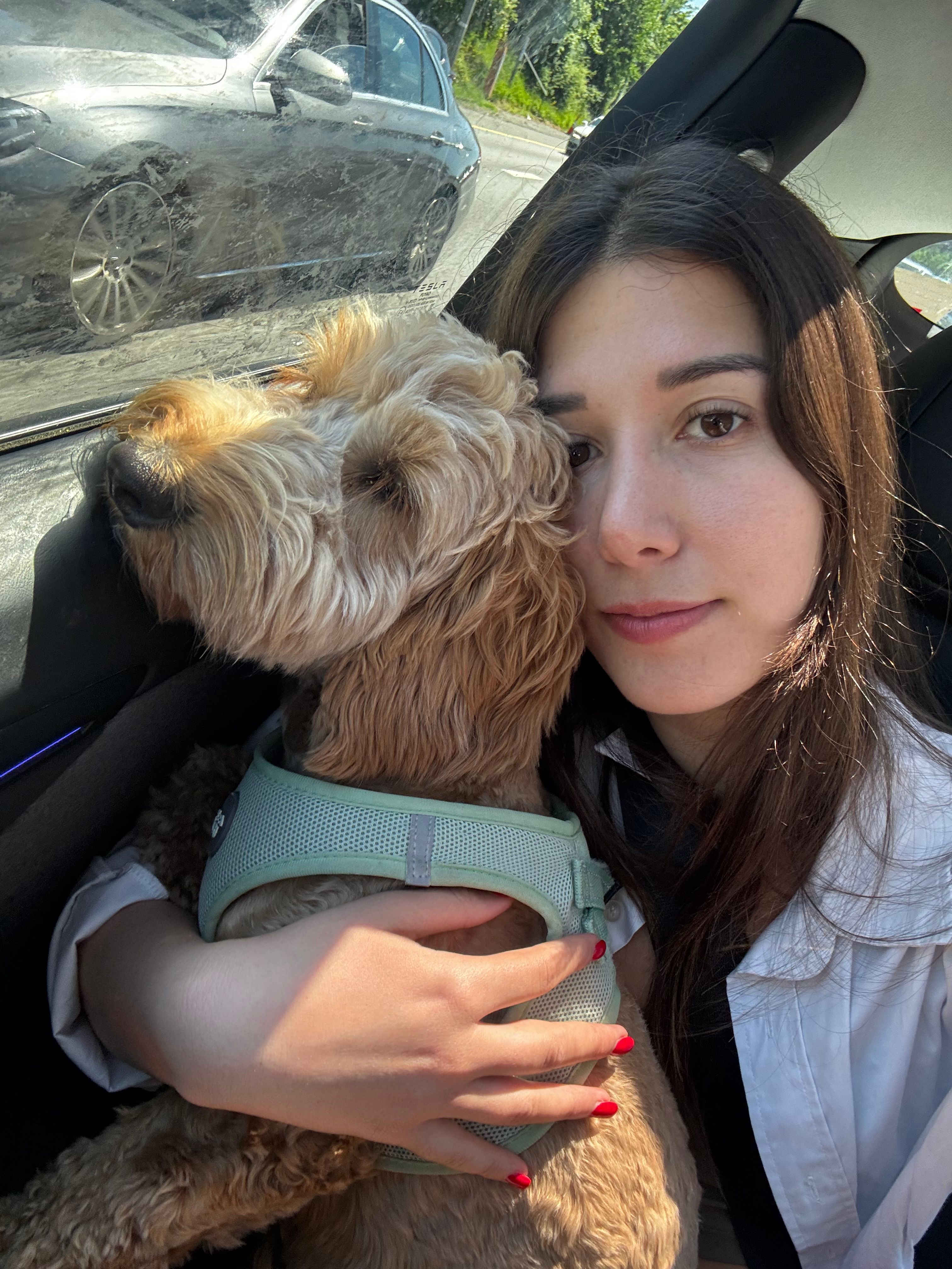 image-4