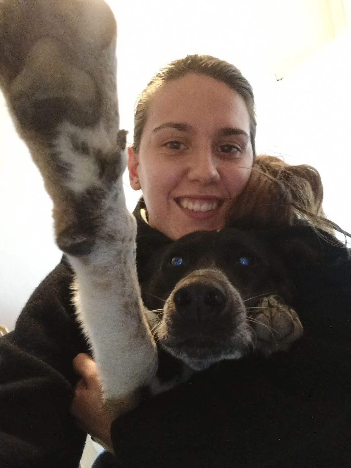 image-6