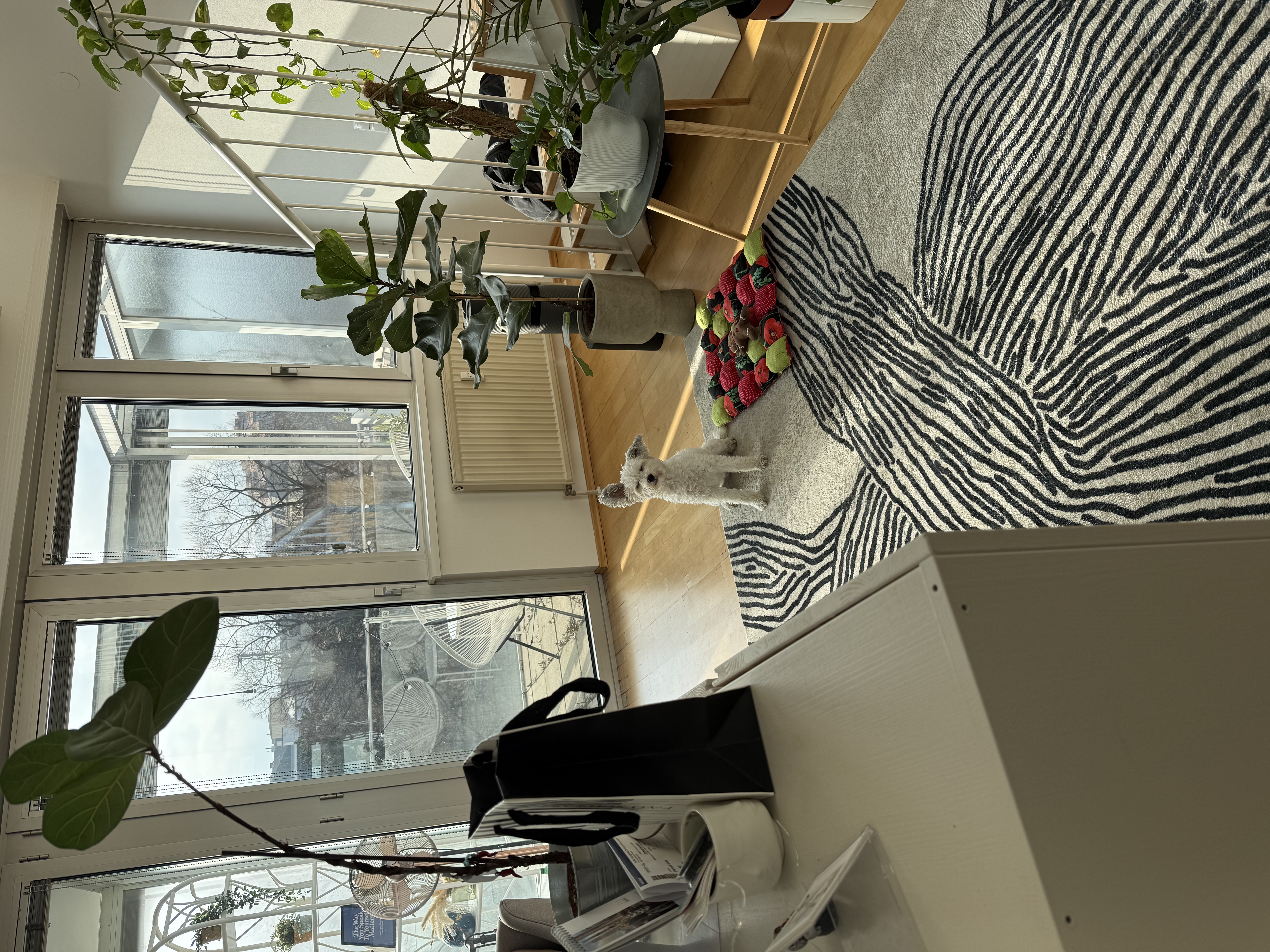image-12