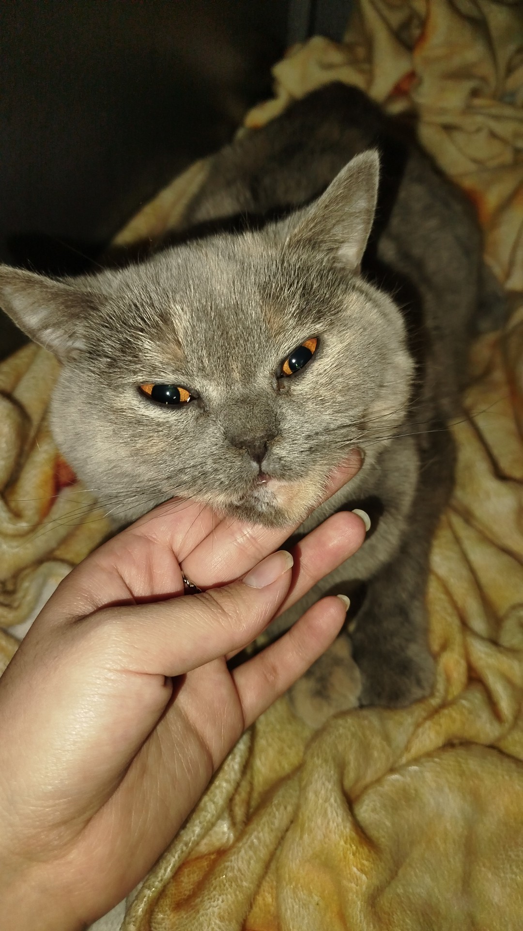 image-4