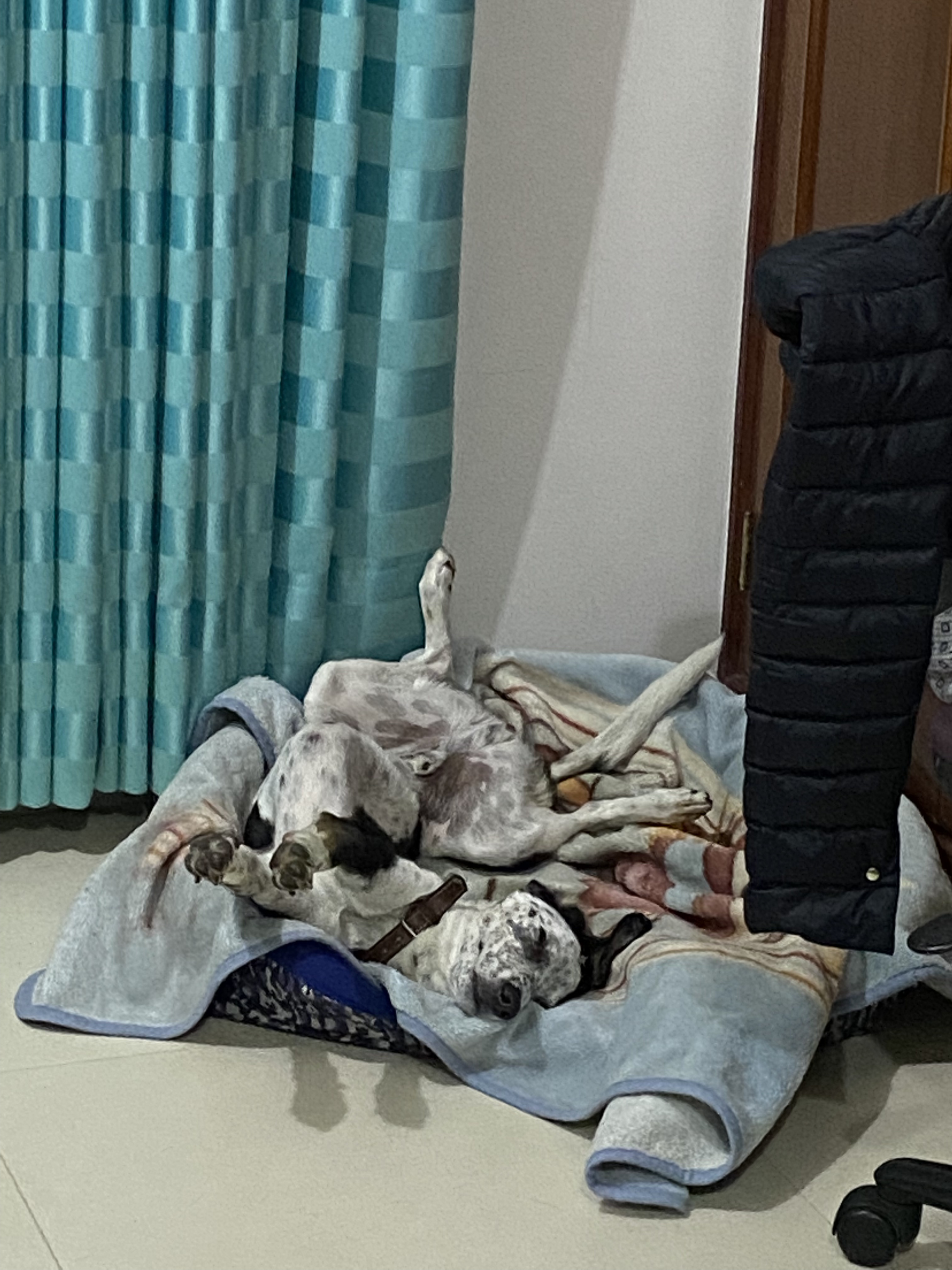 image-11