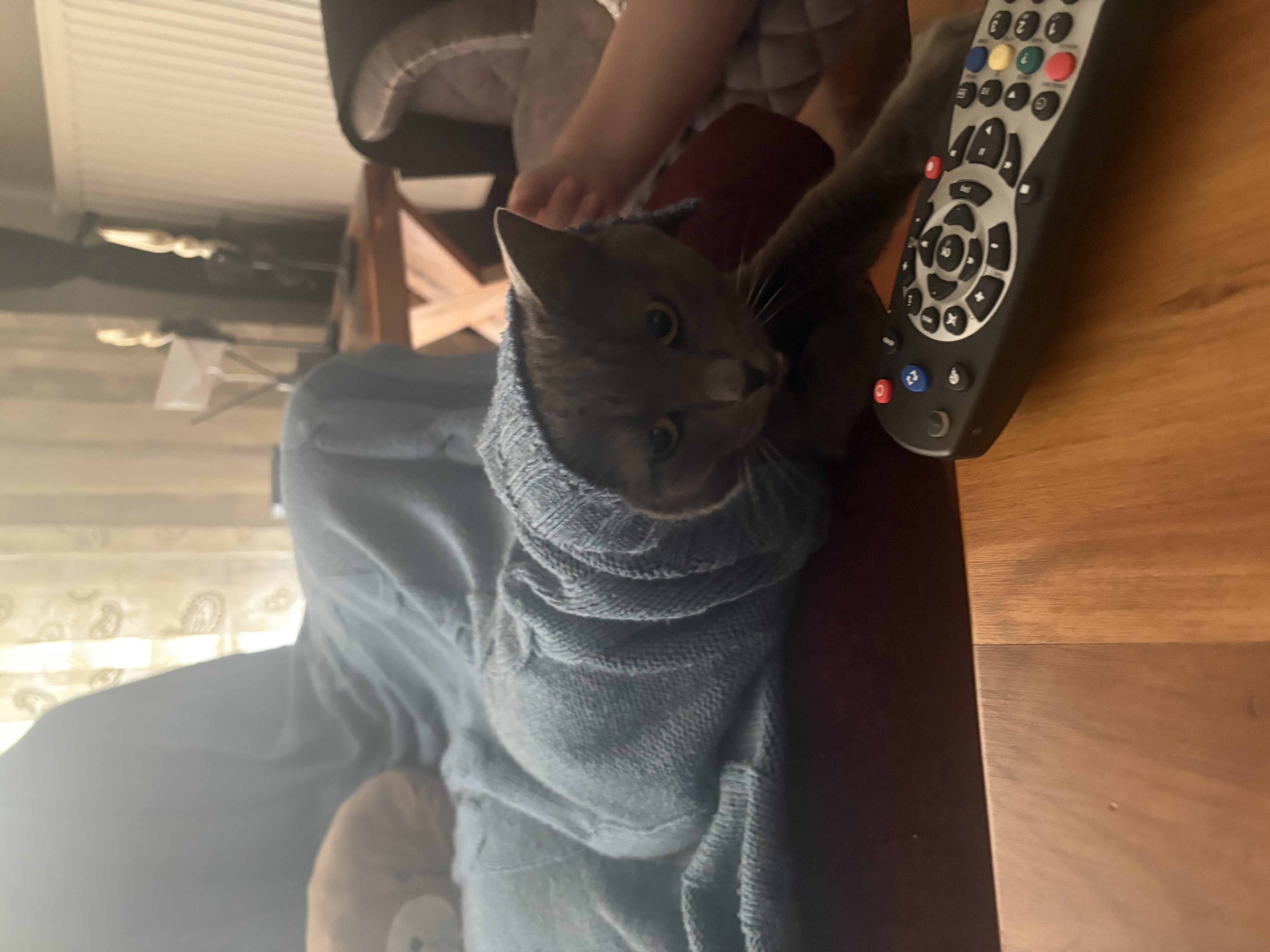 image-6