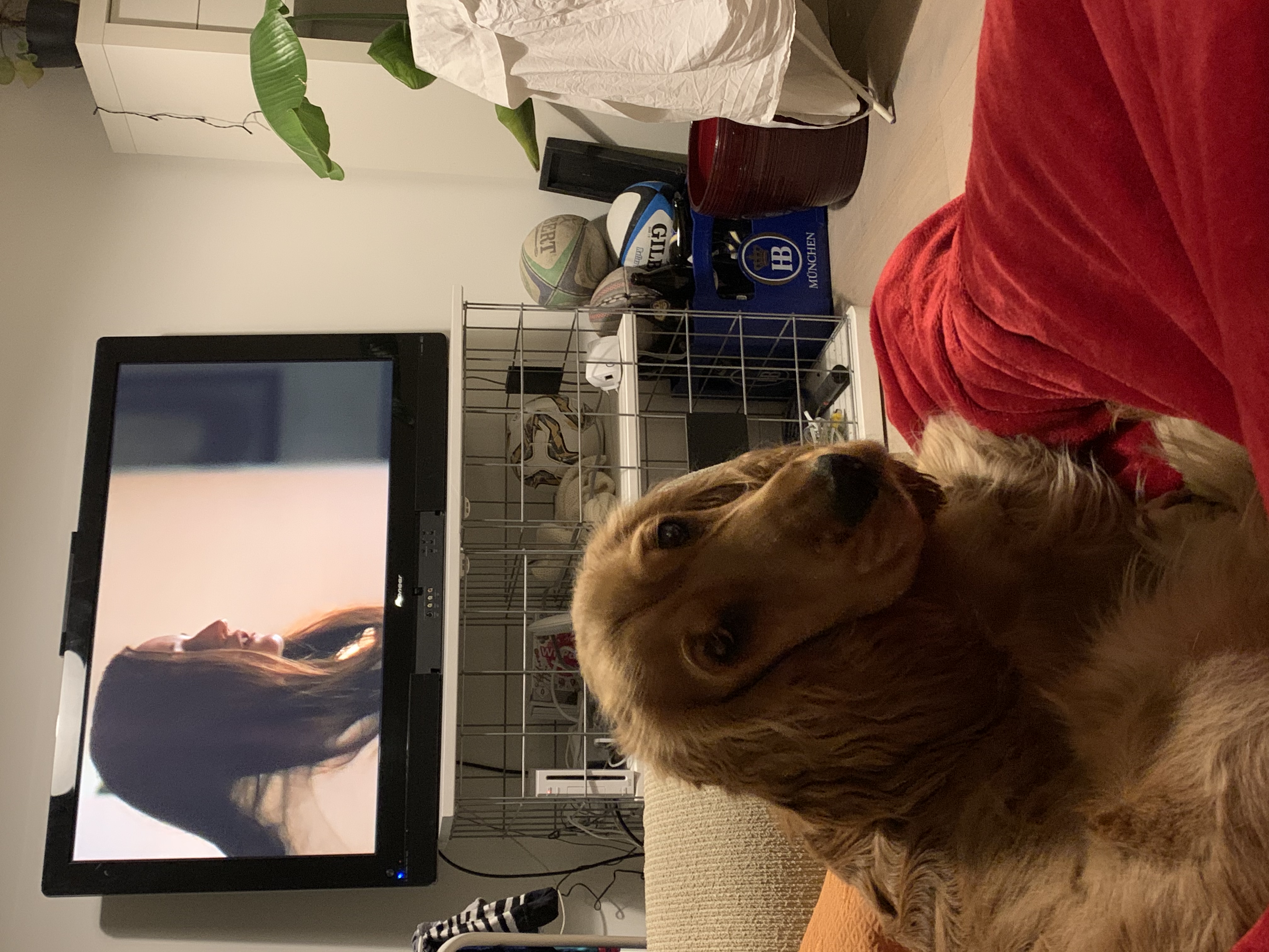 image-7