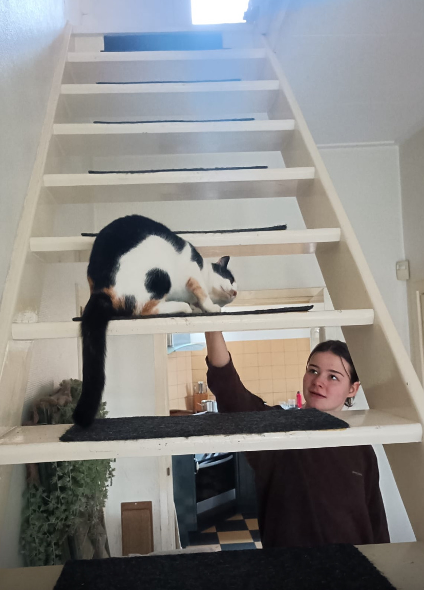 image-8