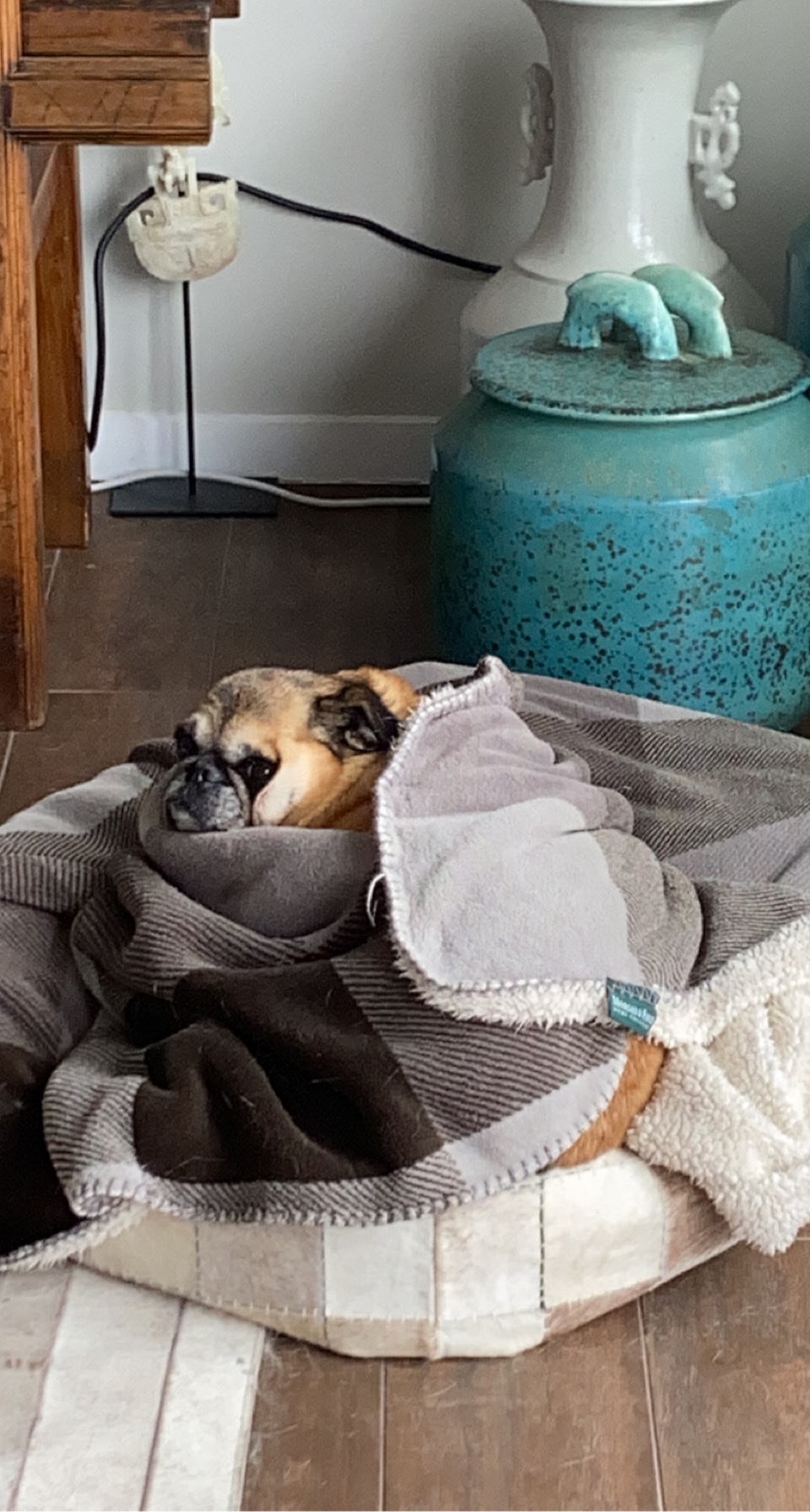 image-10