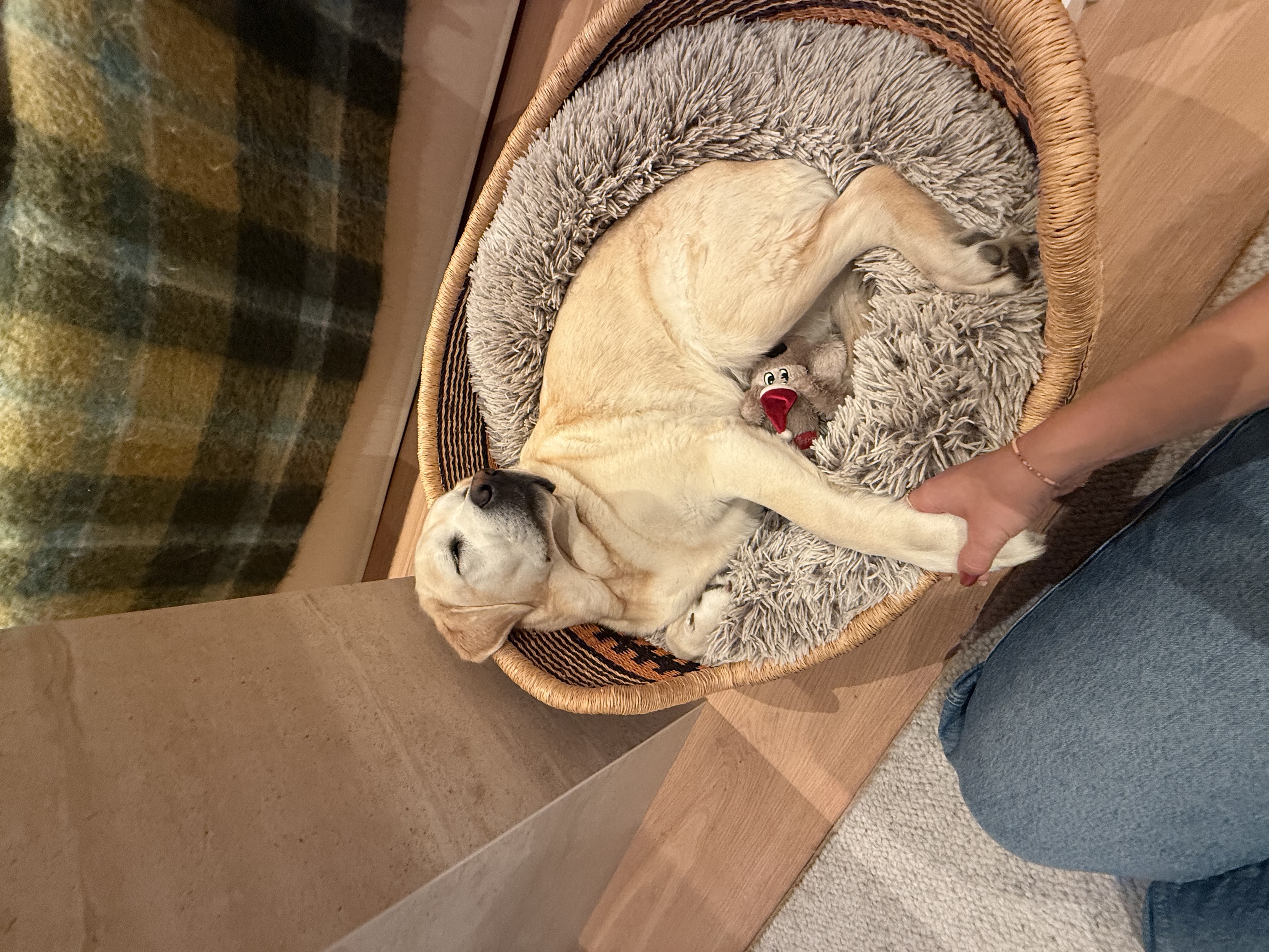 image-6