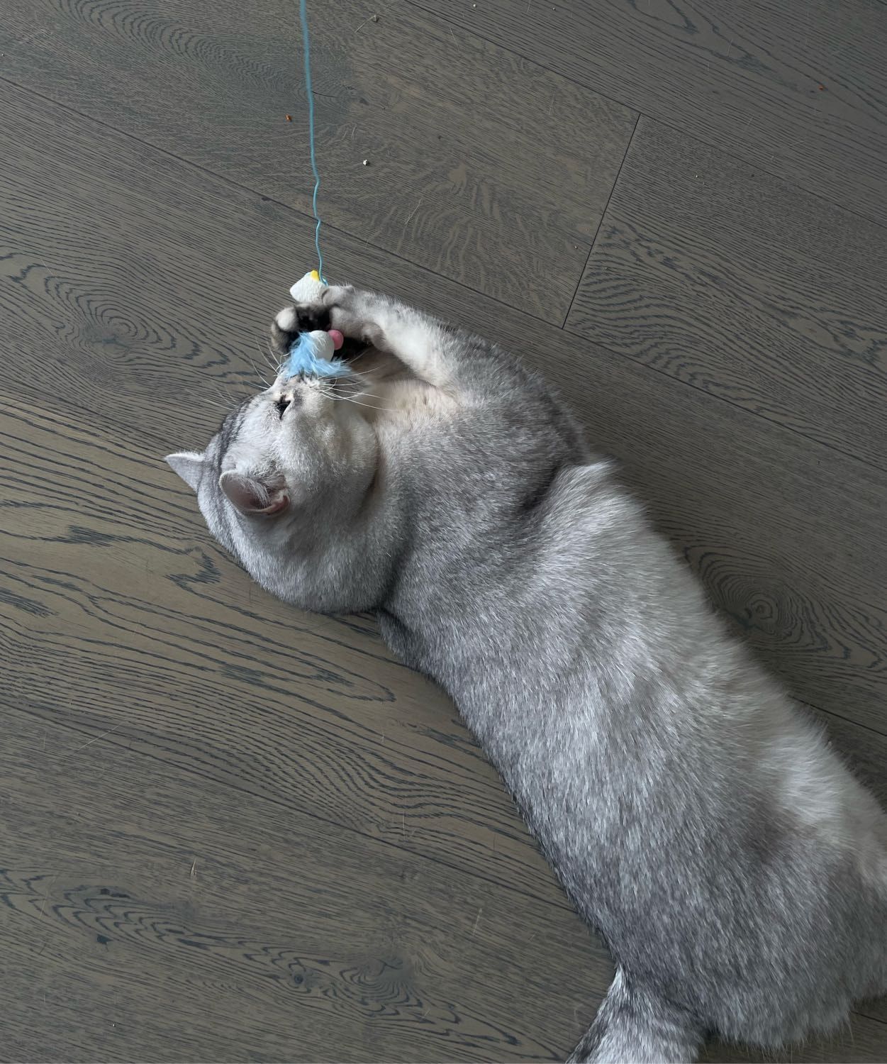 image-22