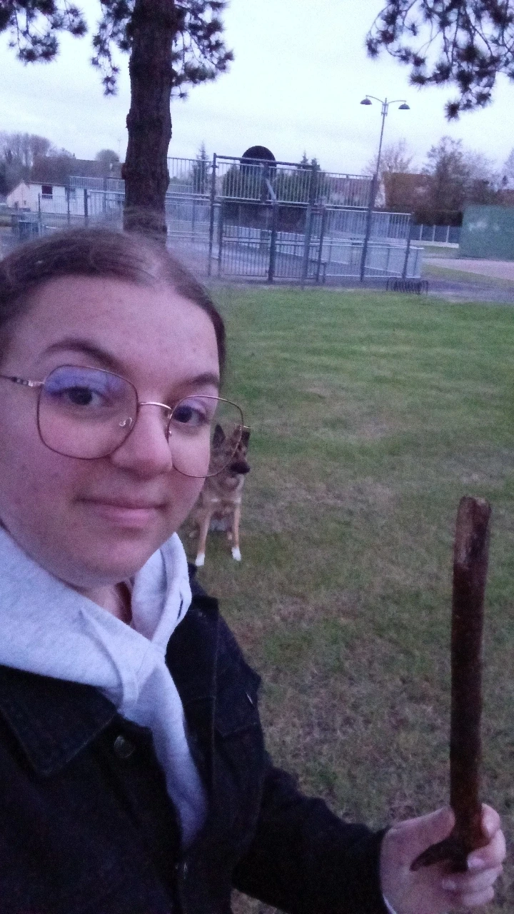 image-6