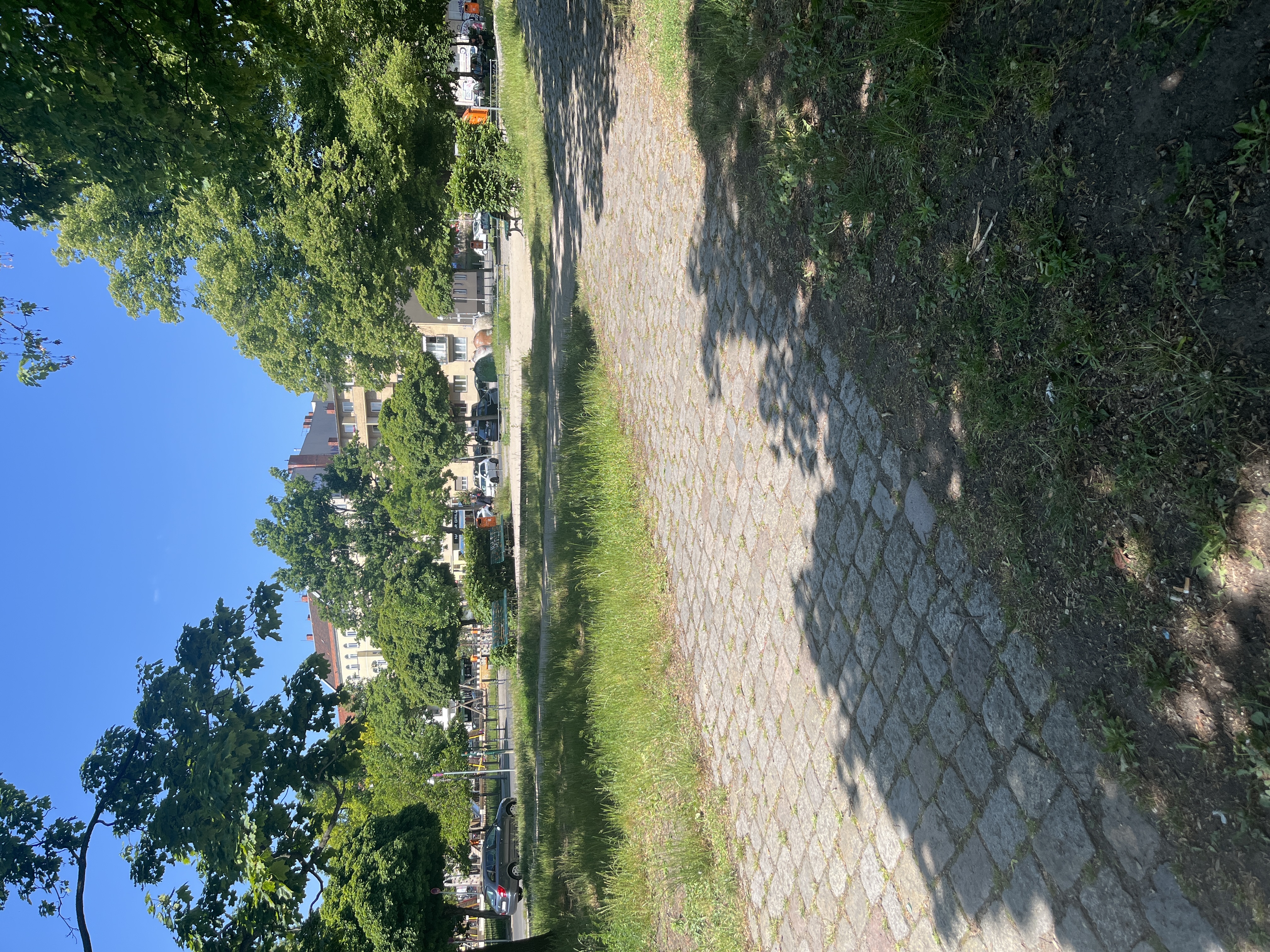 image-21