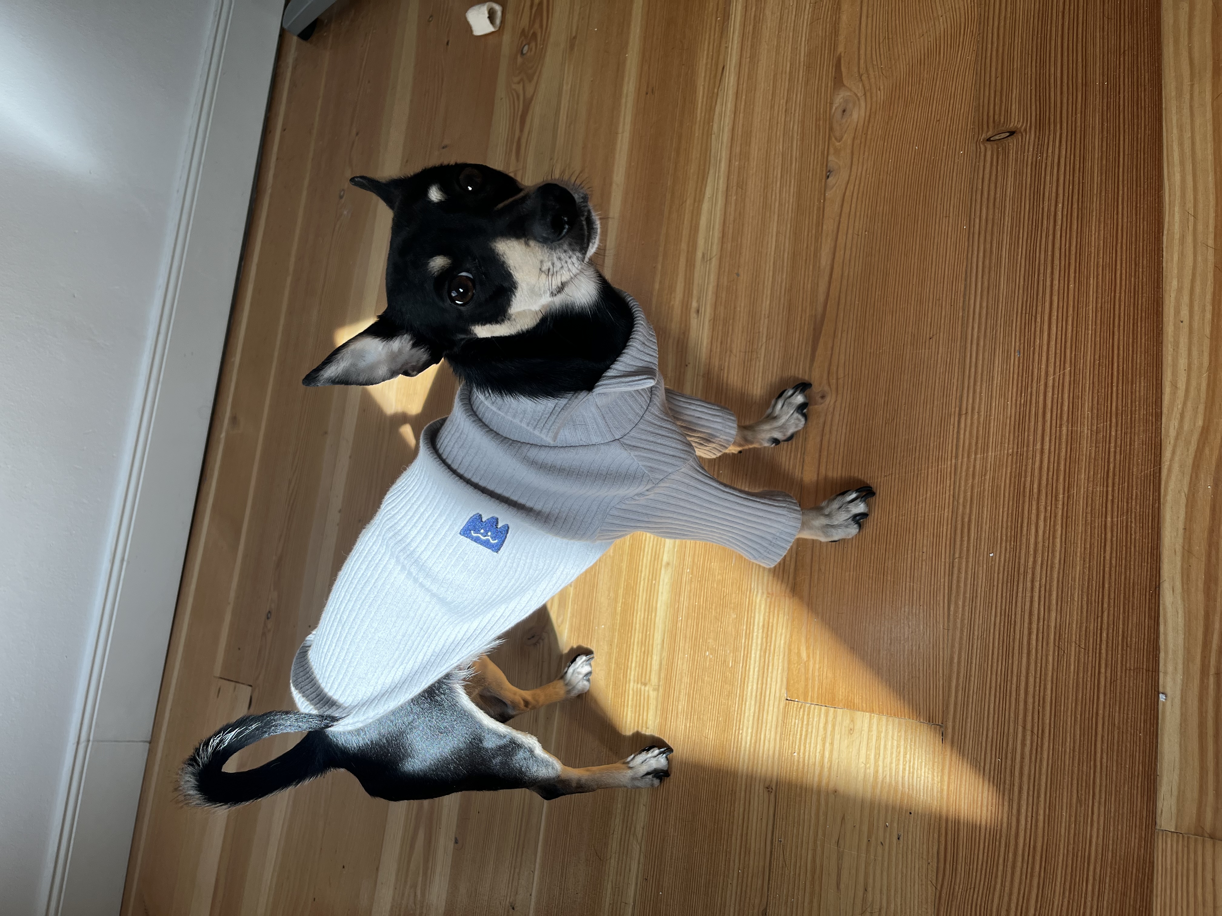image-11