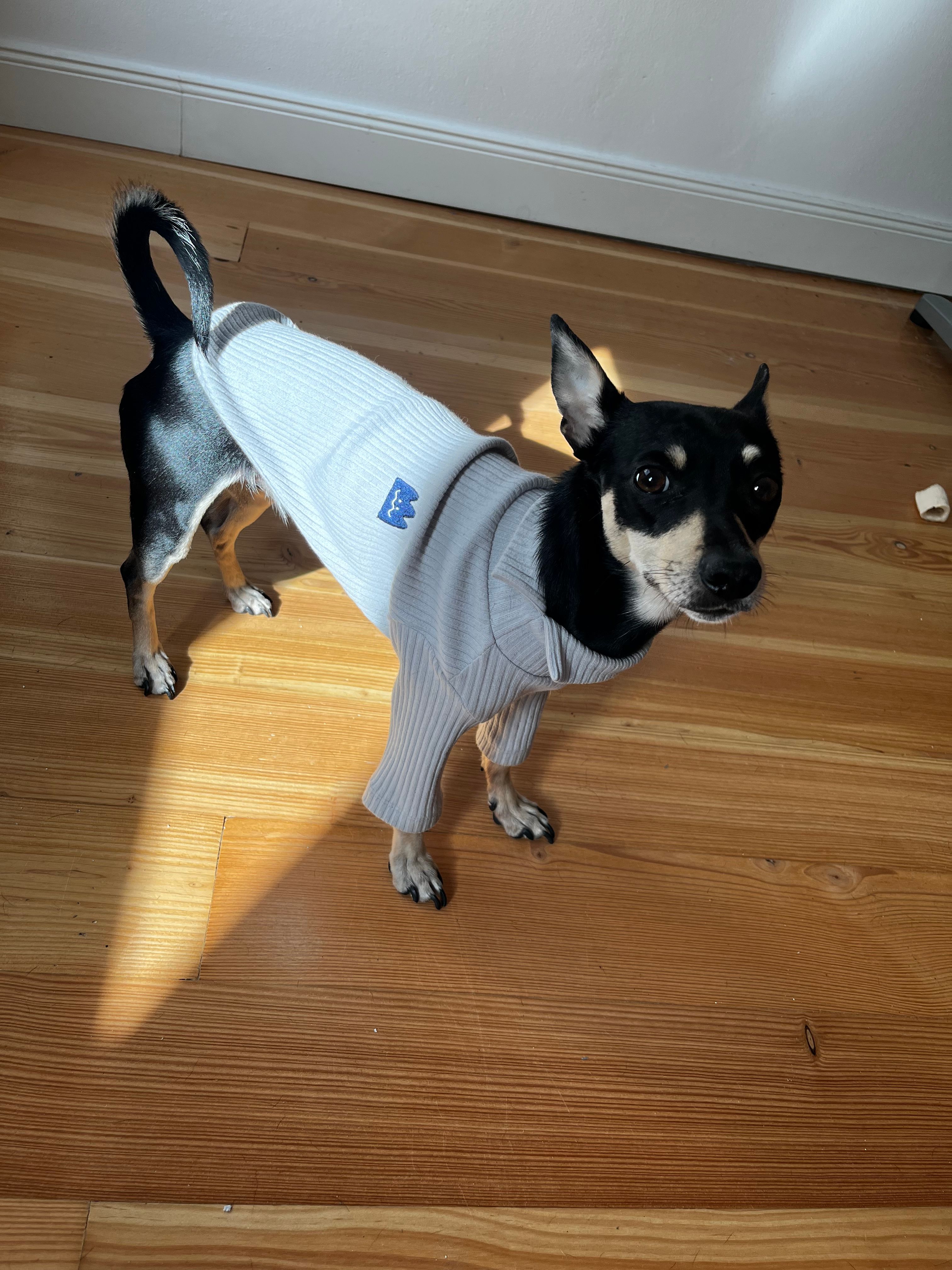 image-11