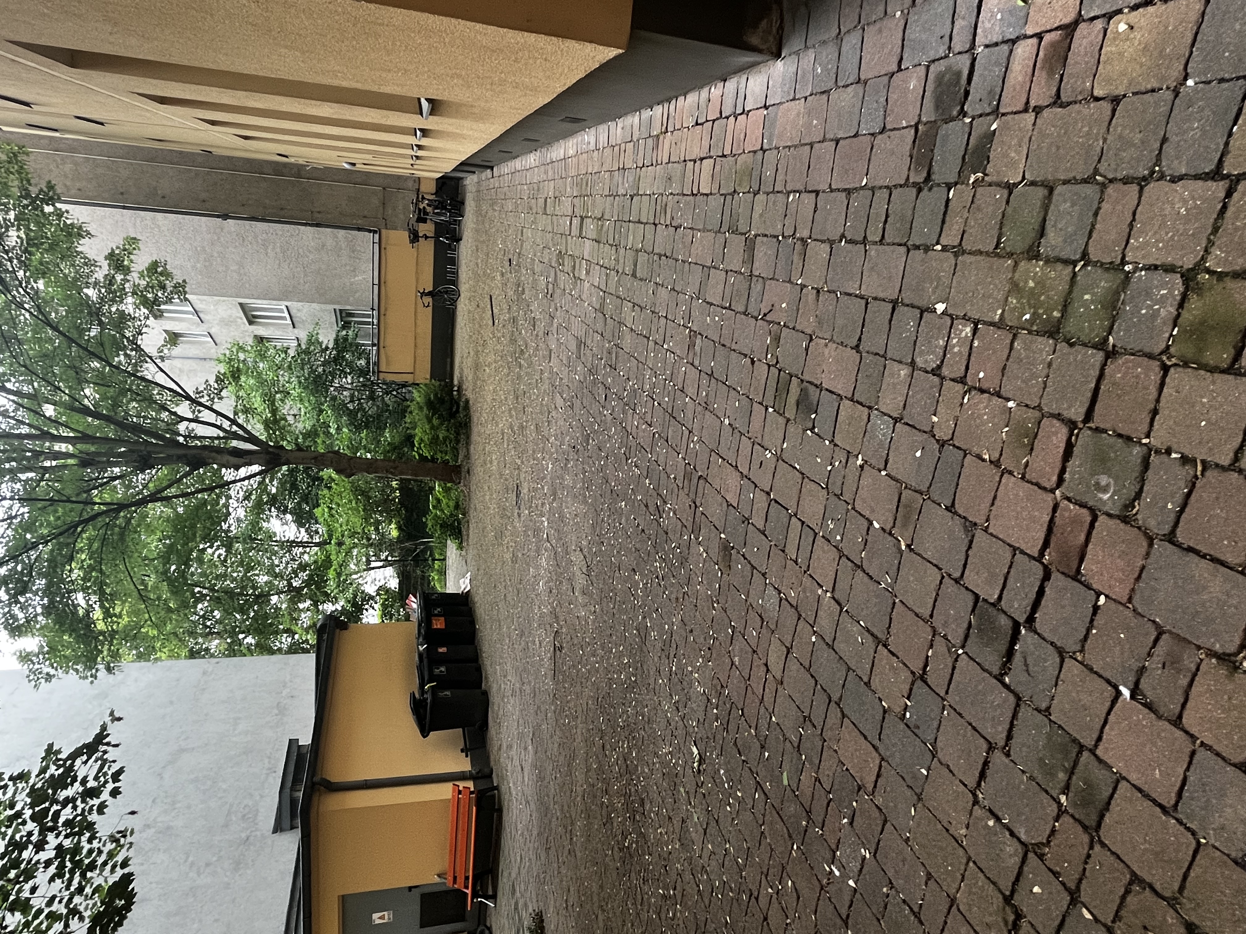 image-18