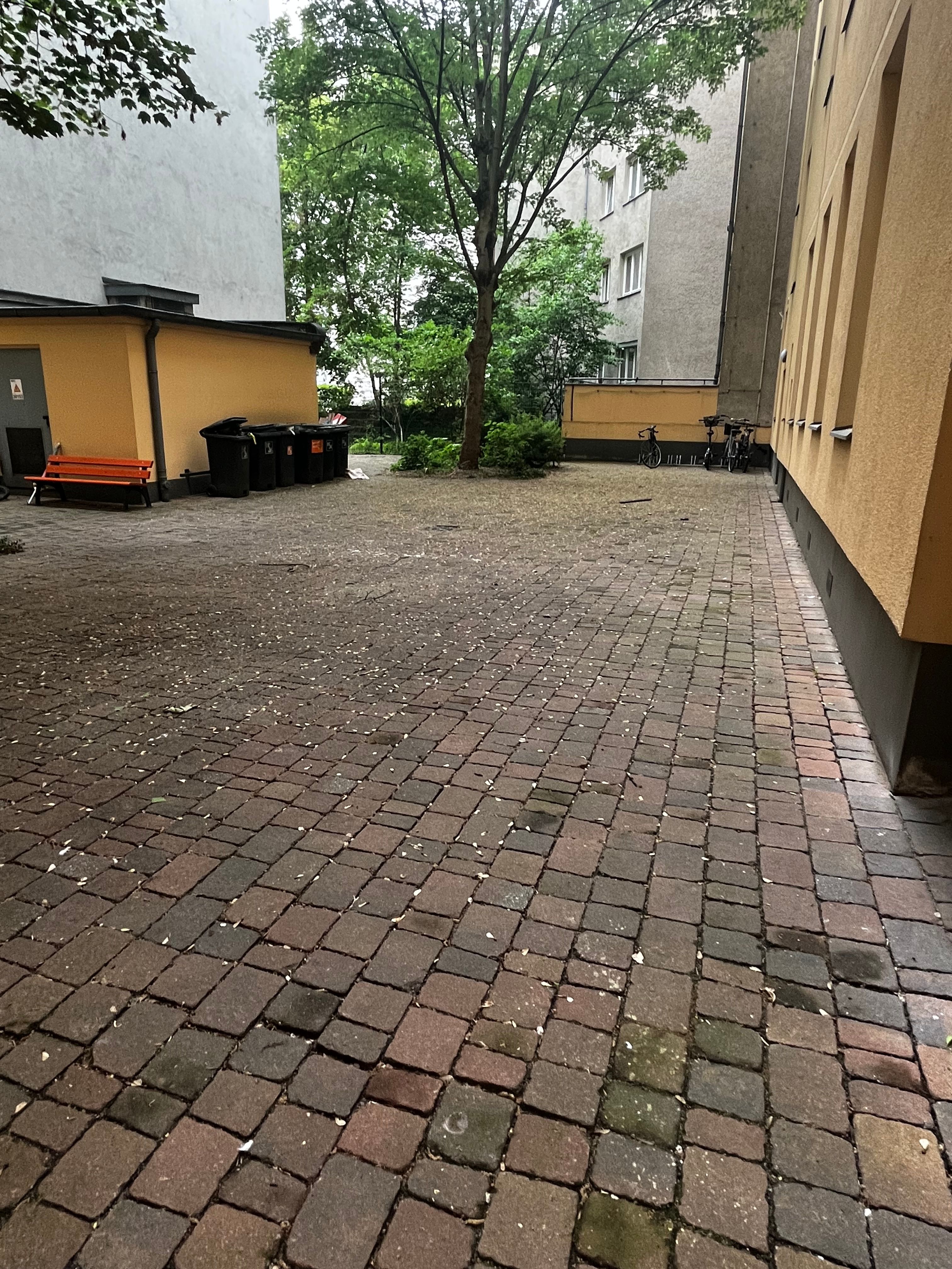 image-18