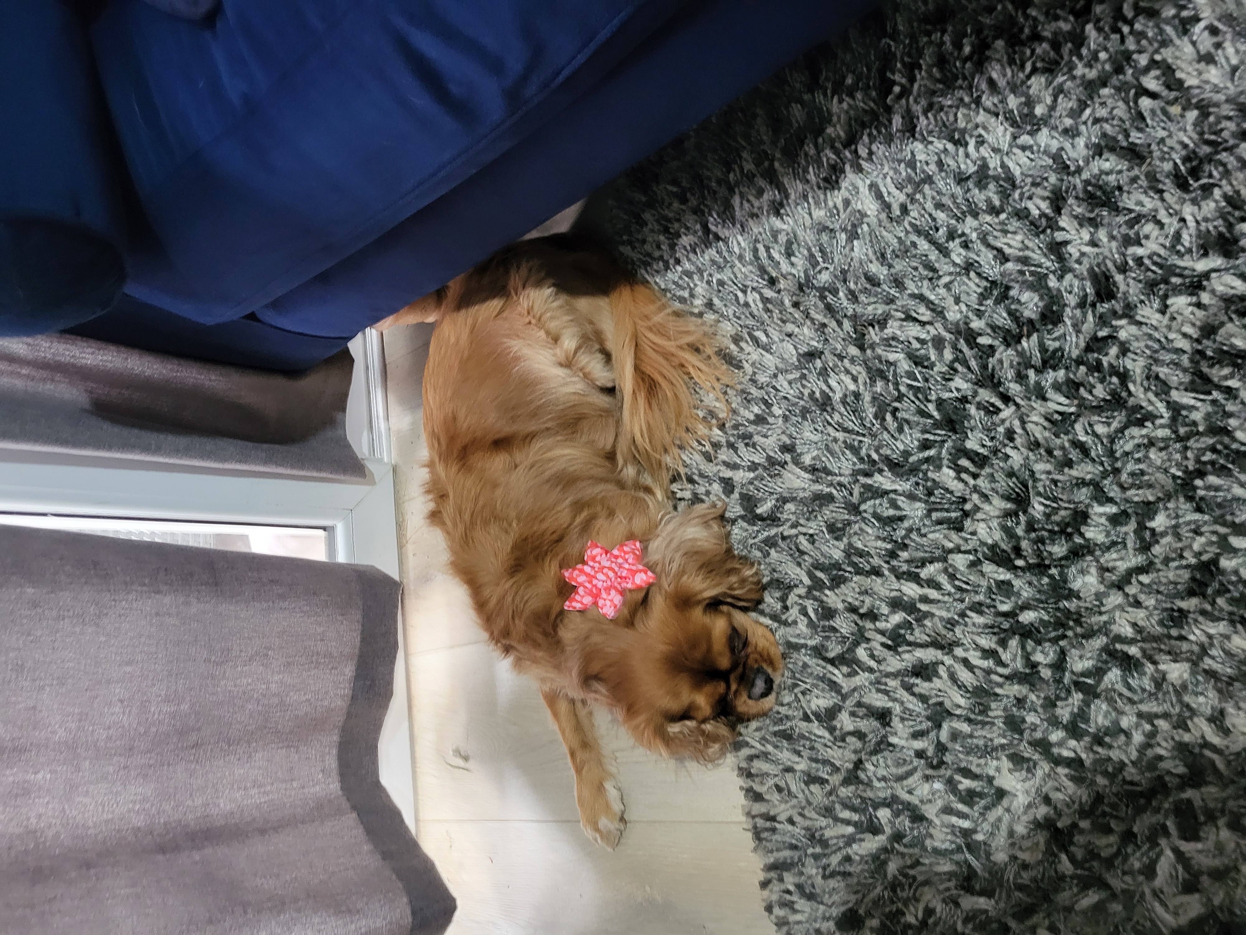 image-6