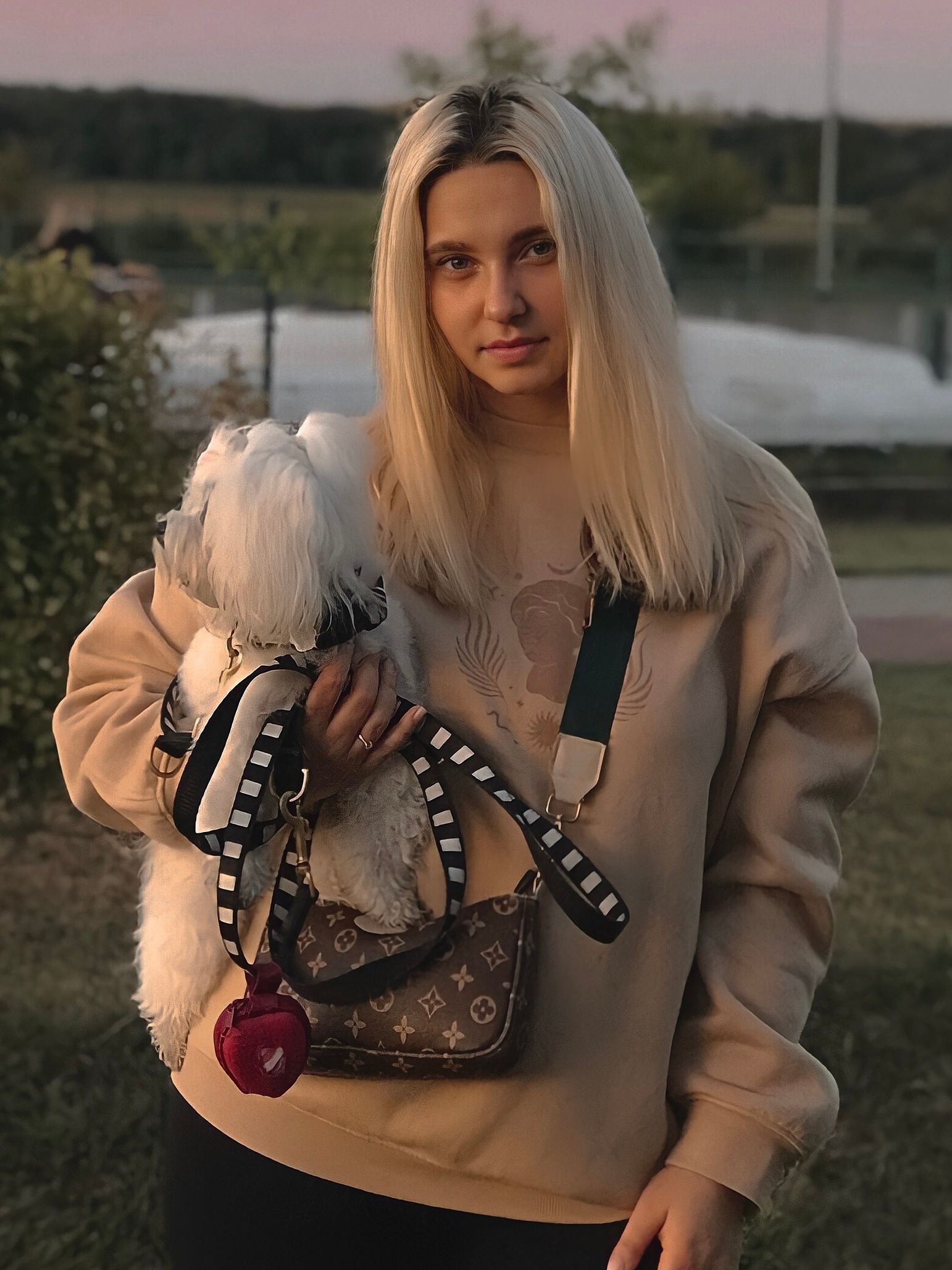 image-6