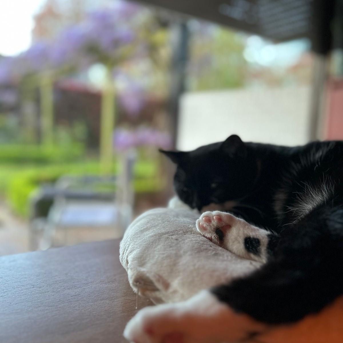 Billy