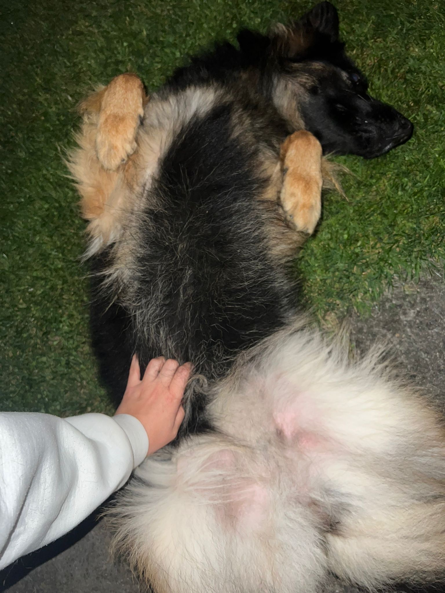 image-9