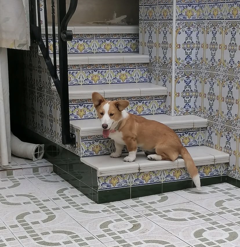 image-9