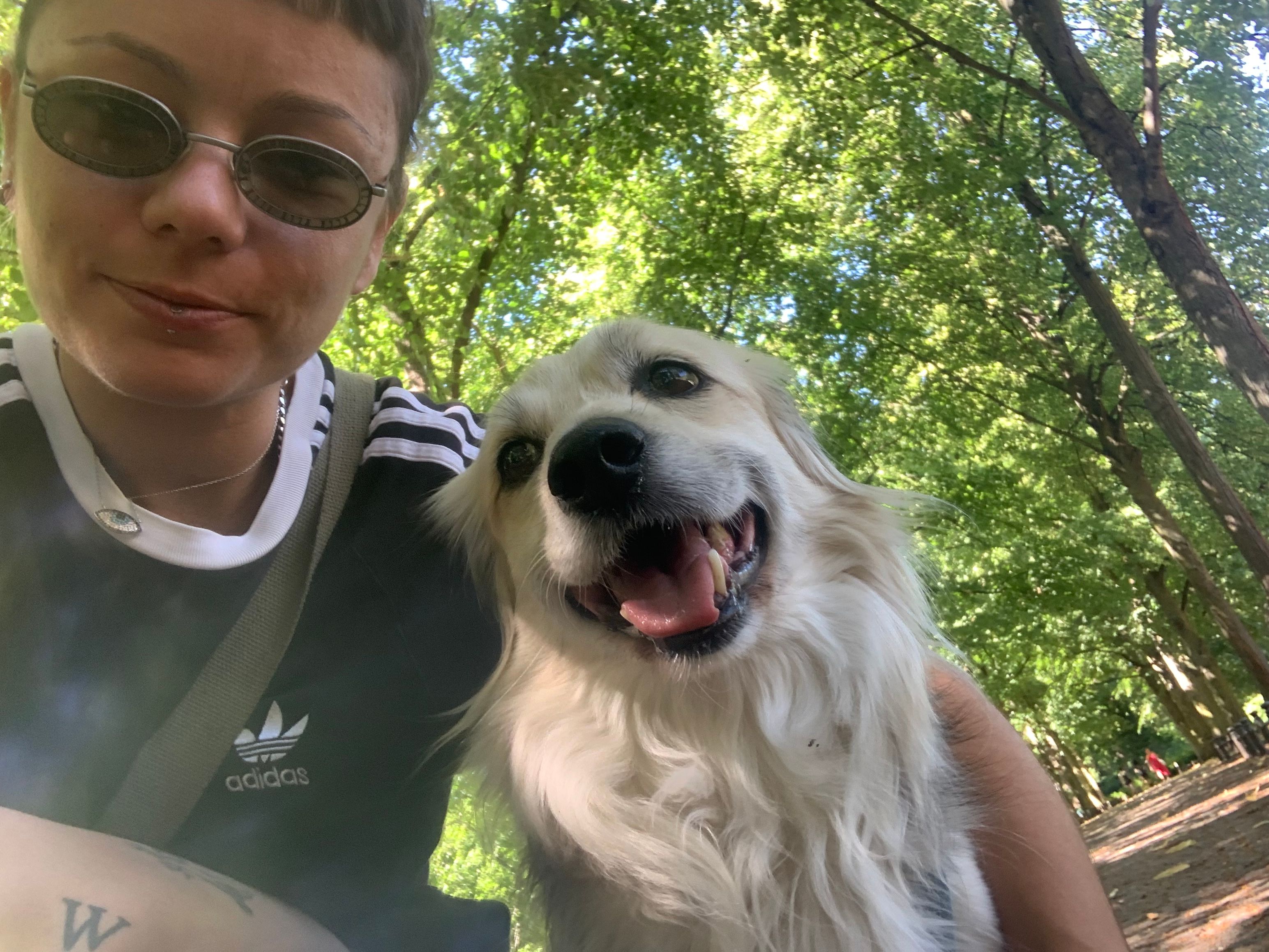 image-16