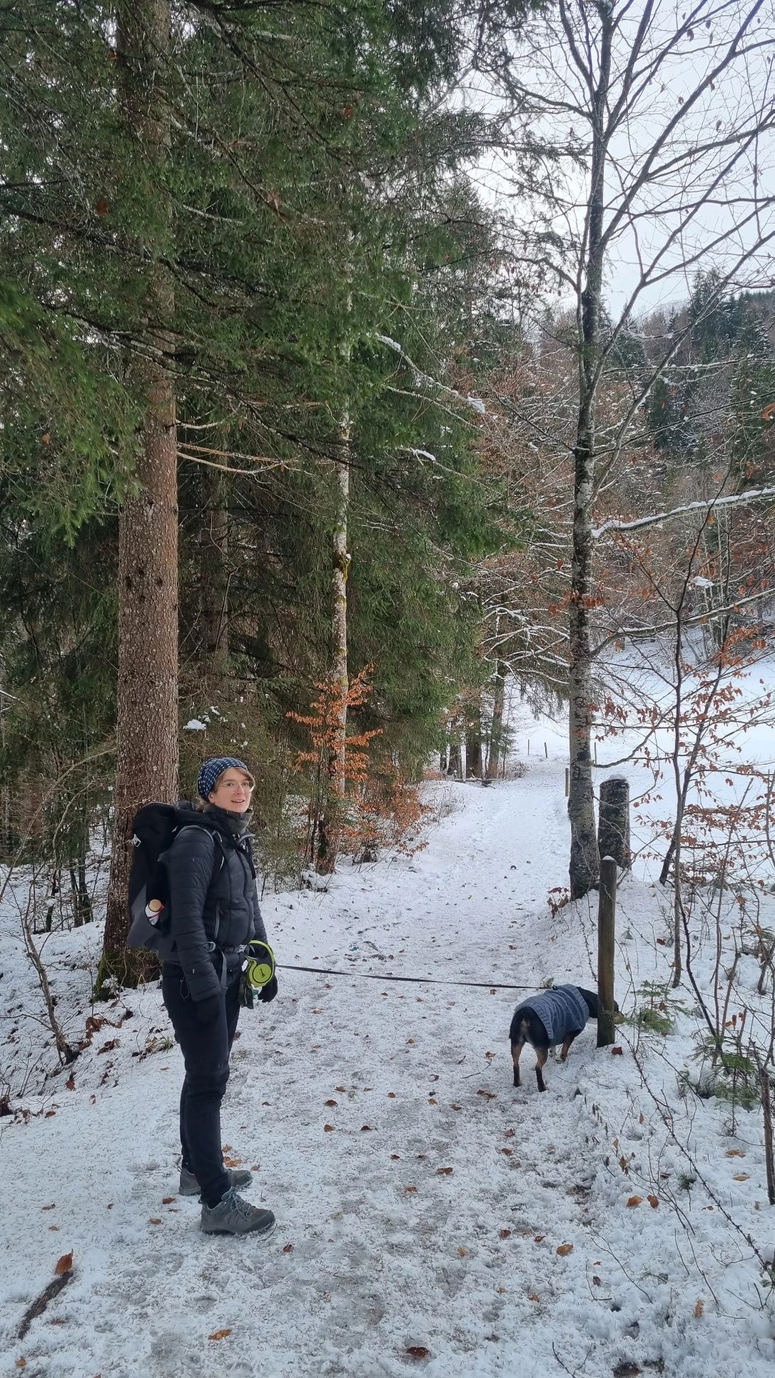 image-1