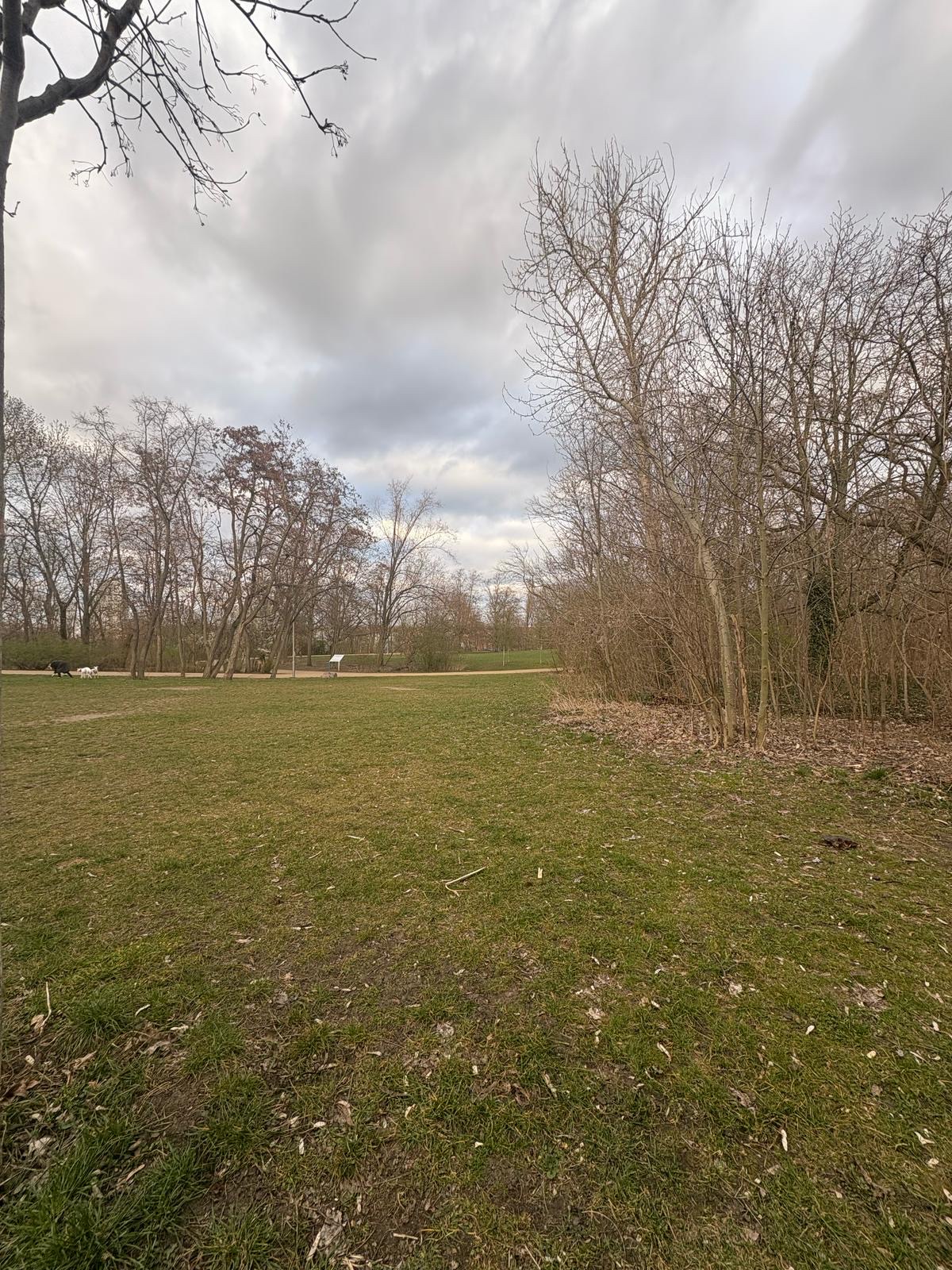 image-19