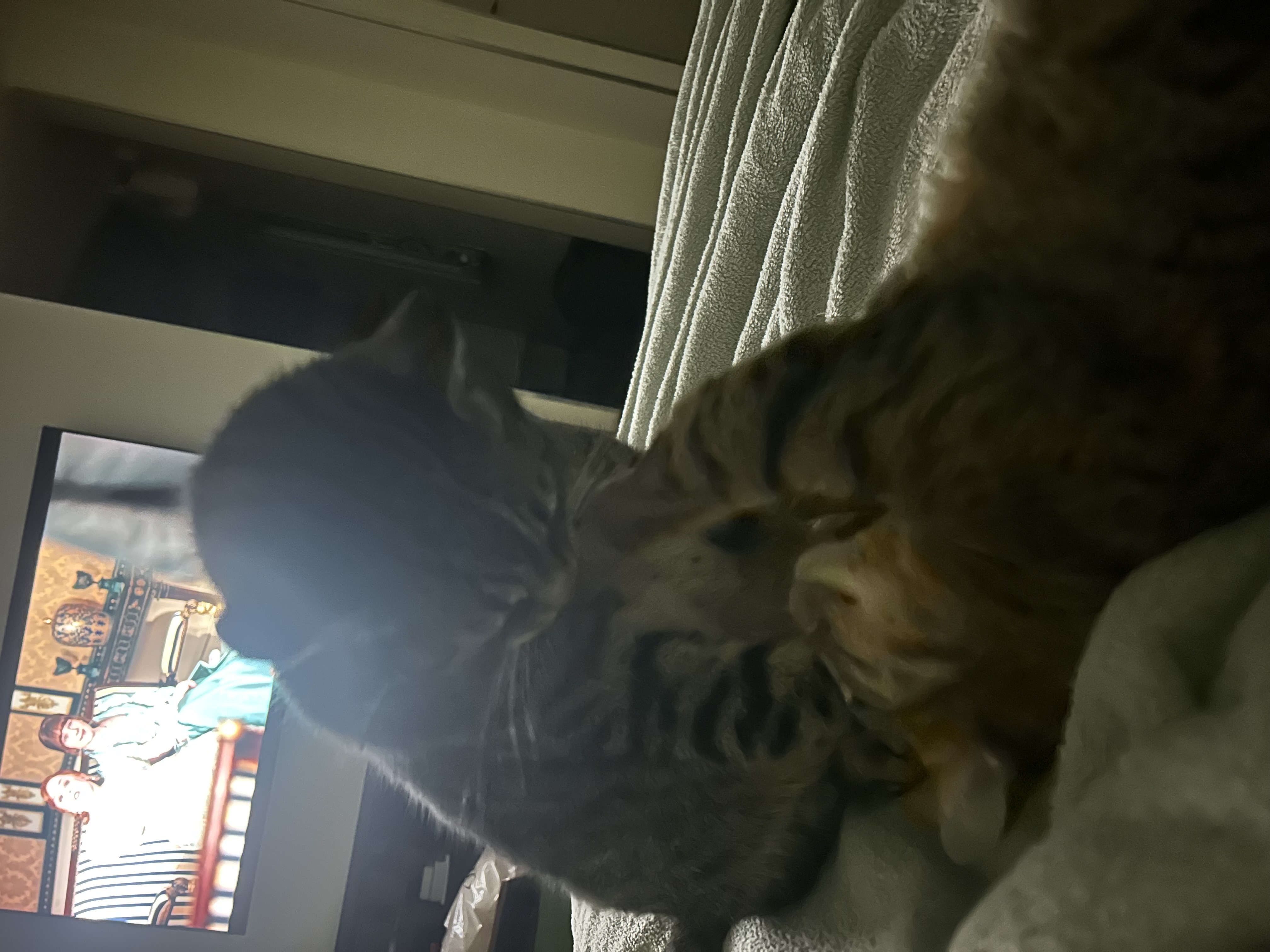 image-7