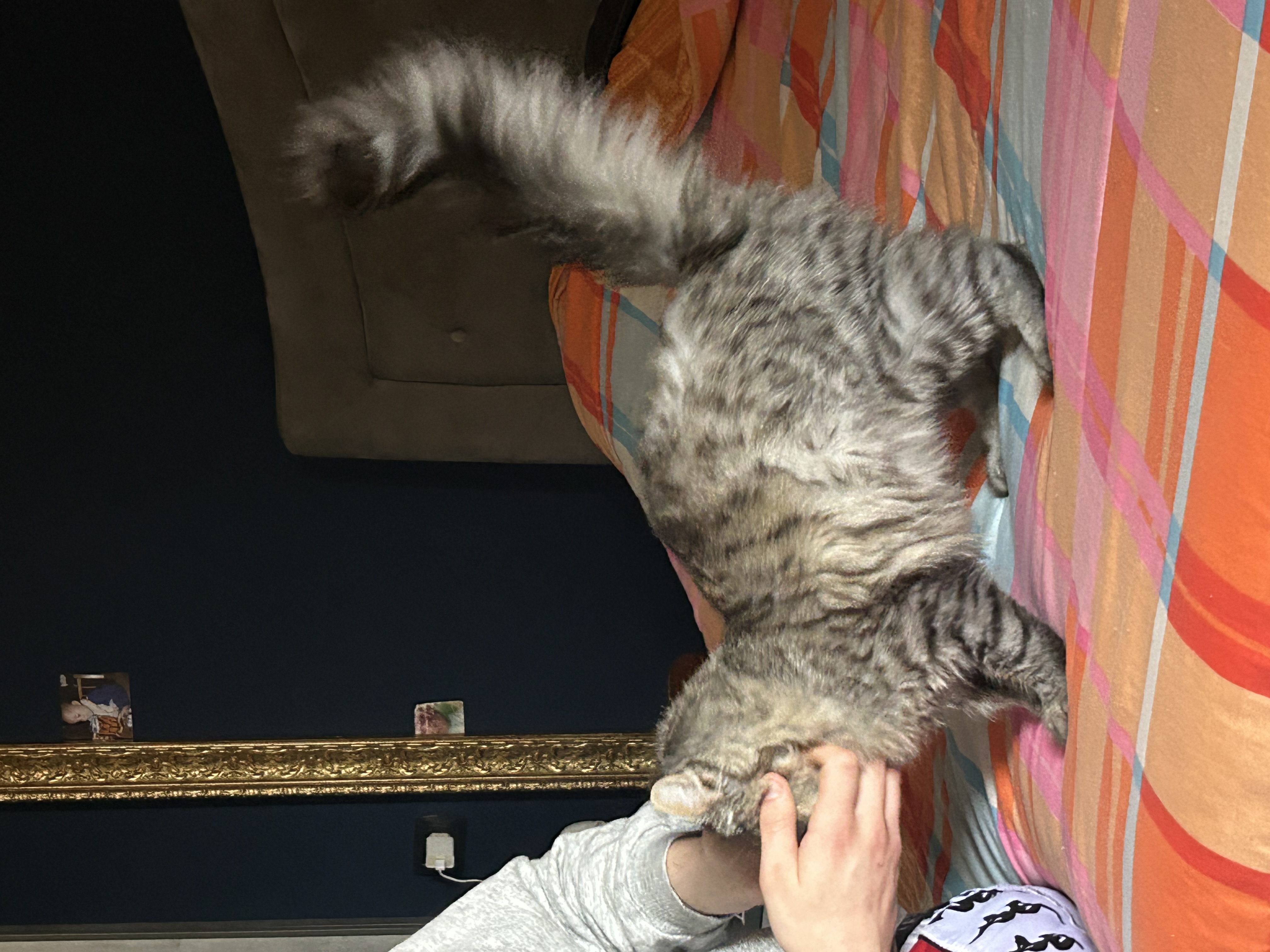 image-8