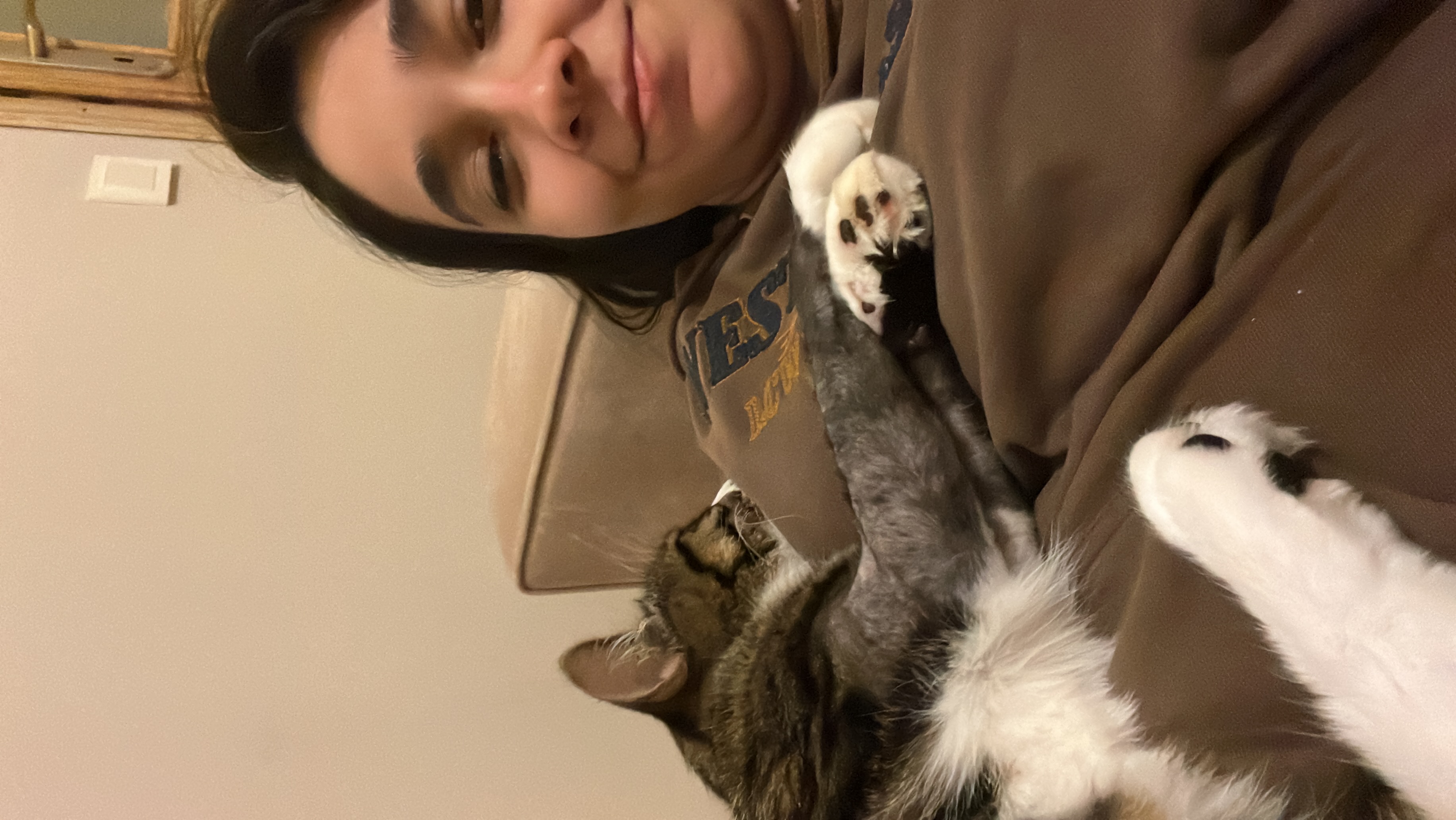 image-6