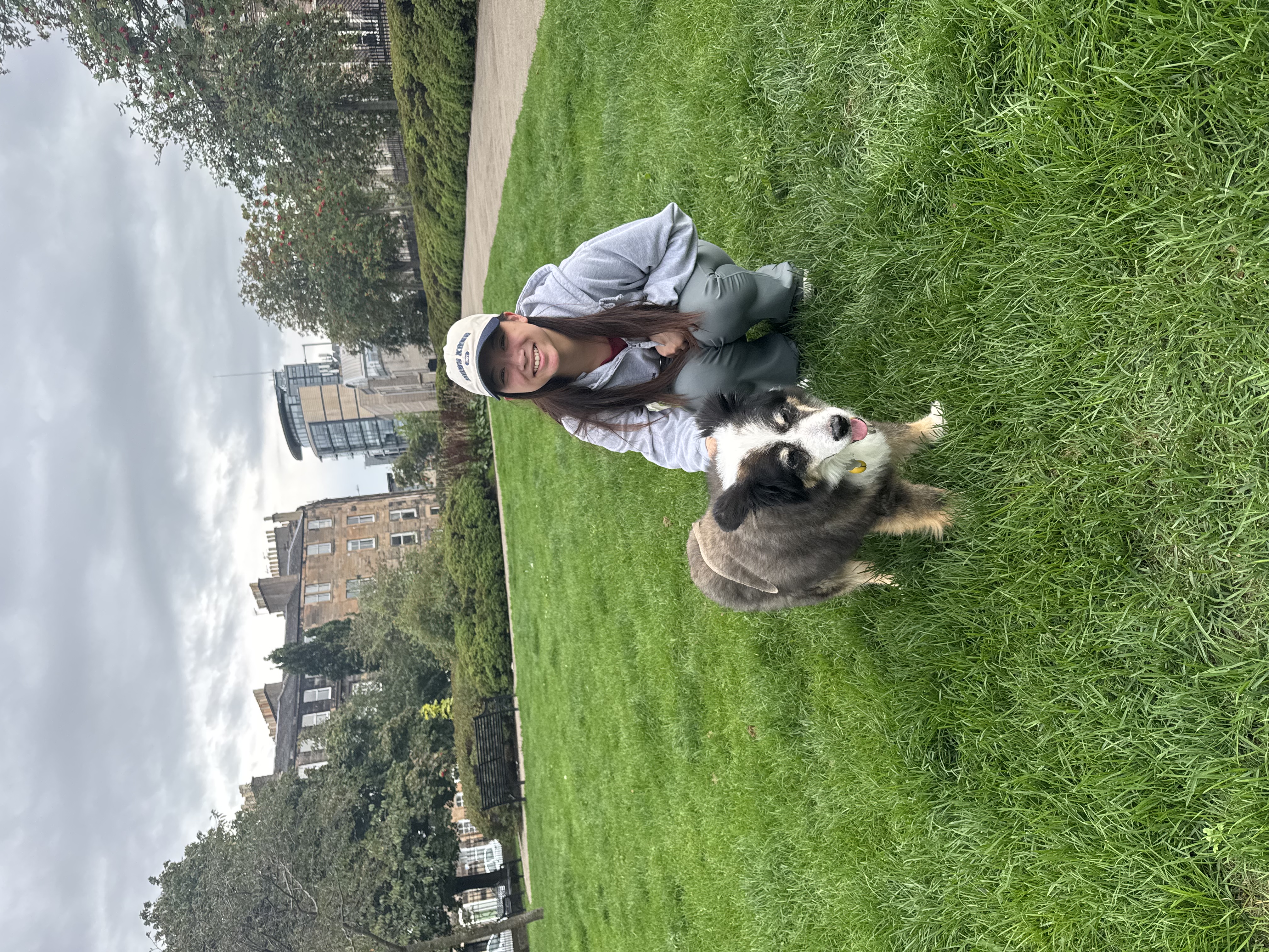 image-8