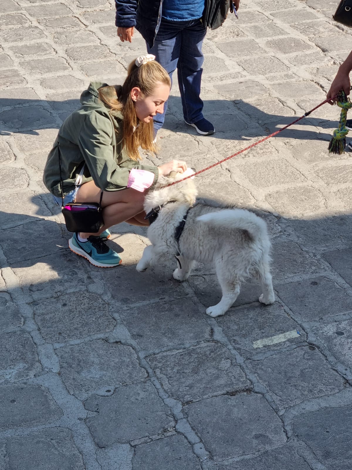 image-6