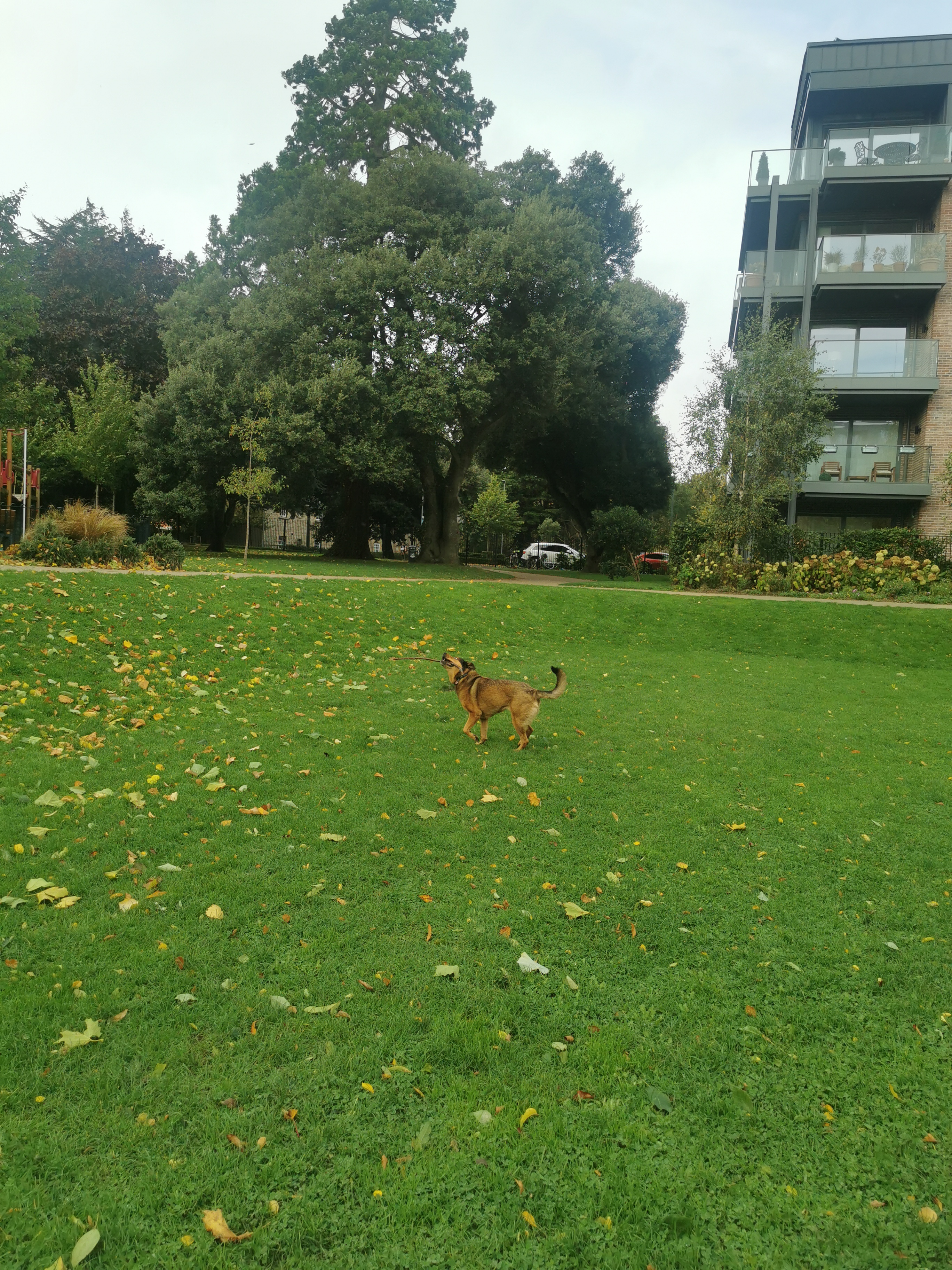 image-7