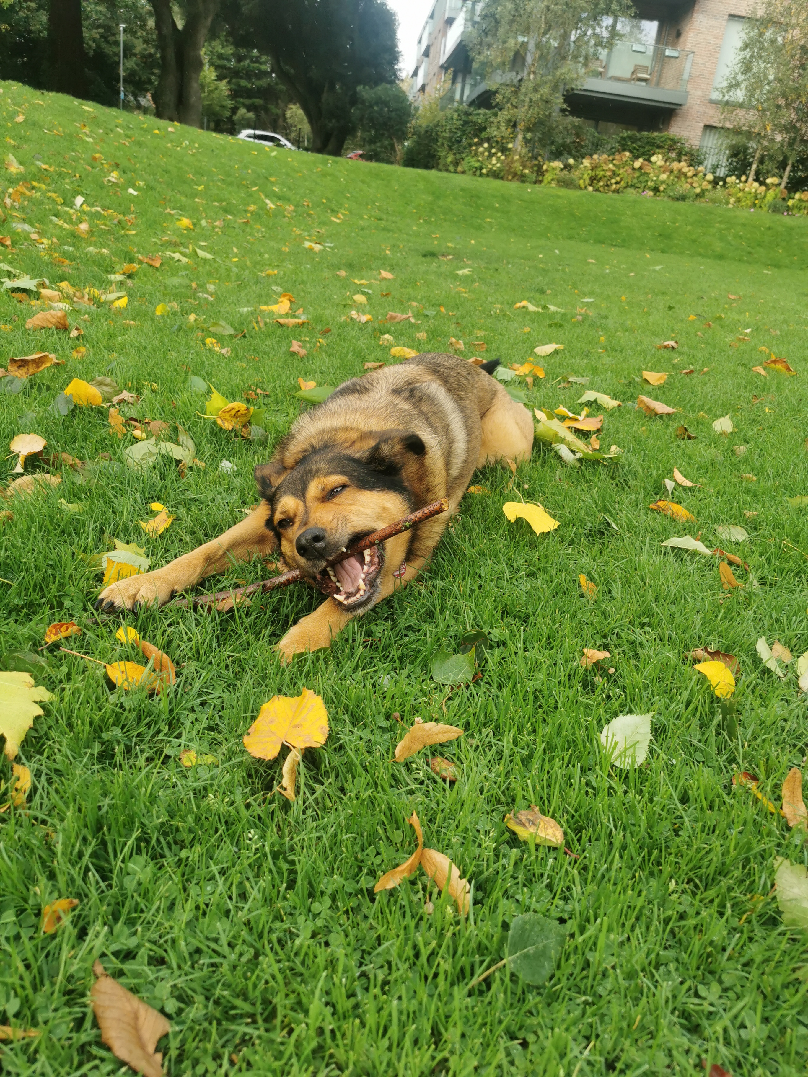 image-8