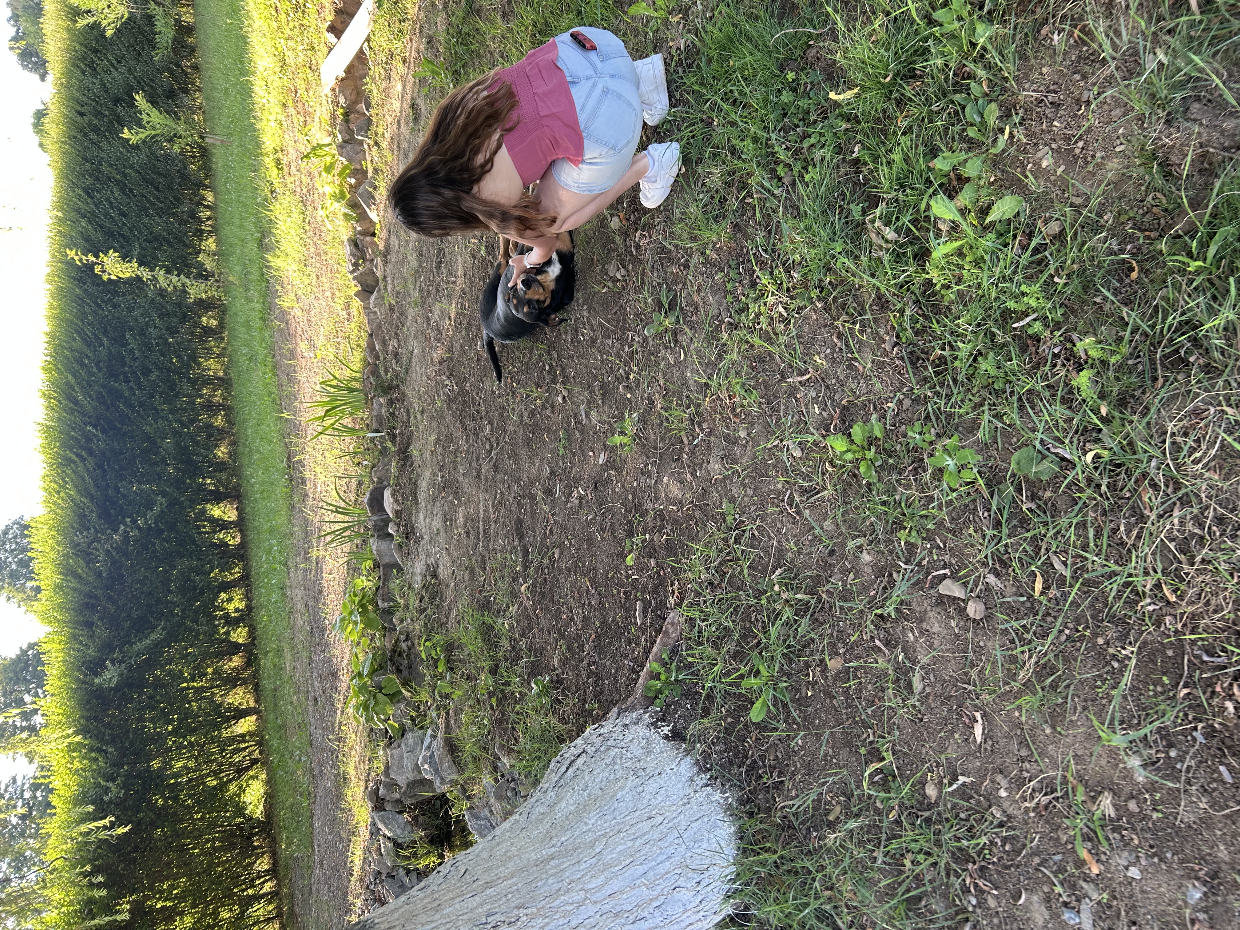 image-4