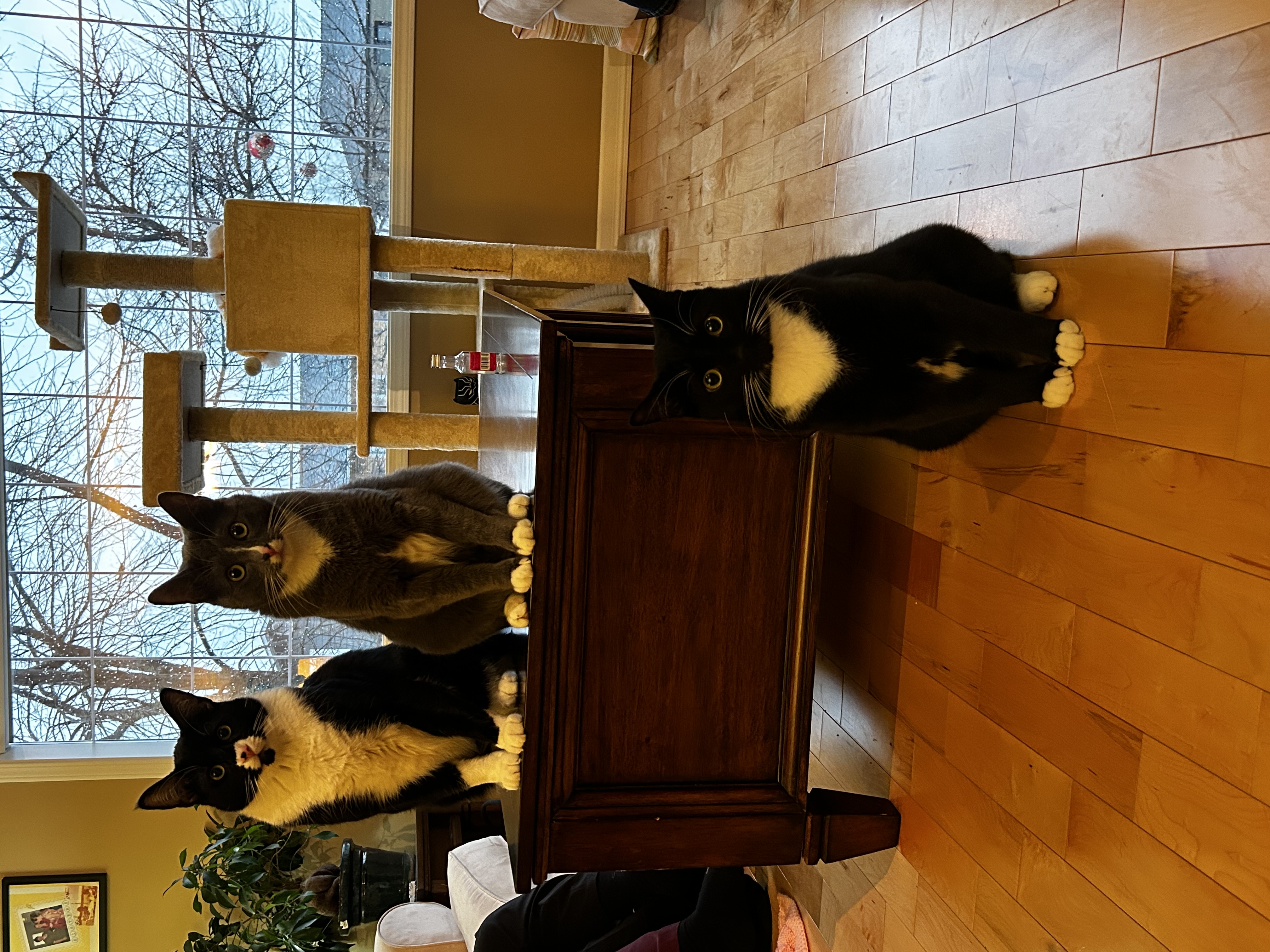 image-13