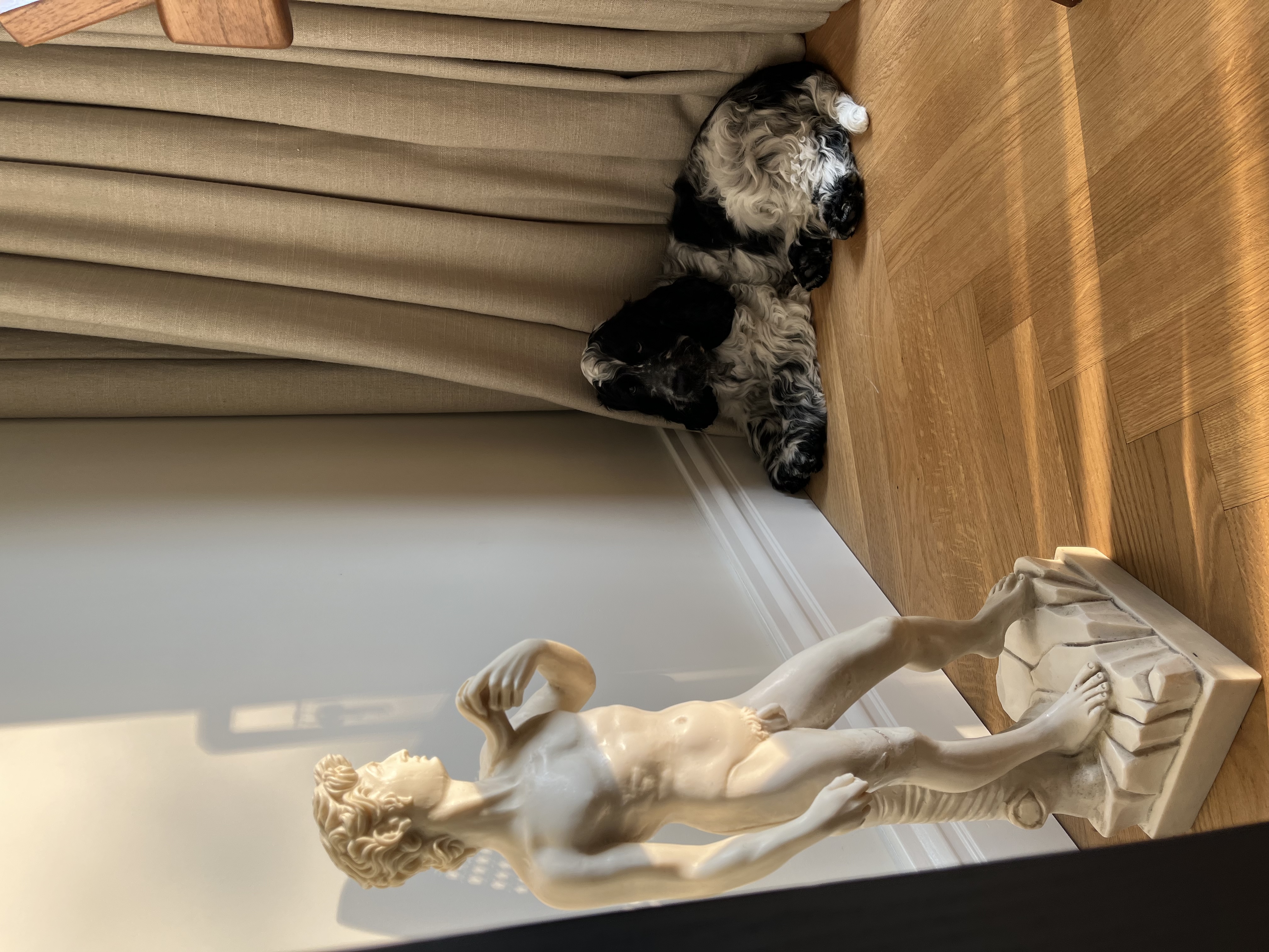 image-8