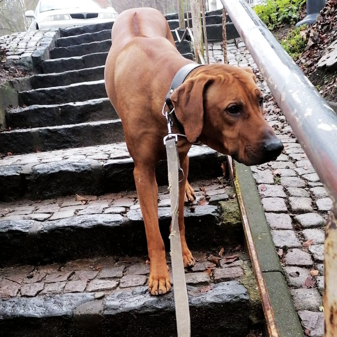 image-7