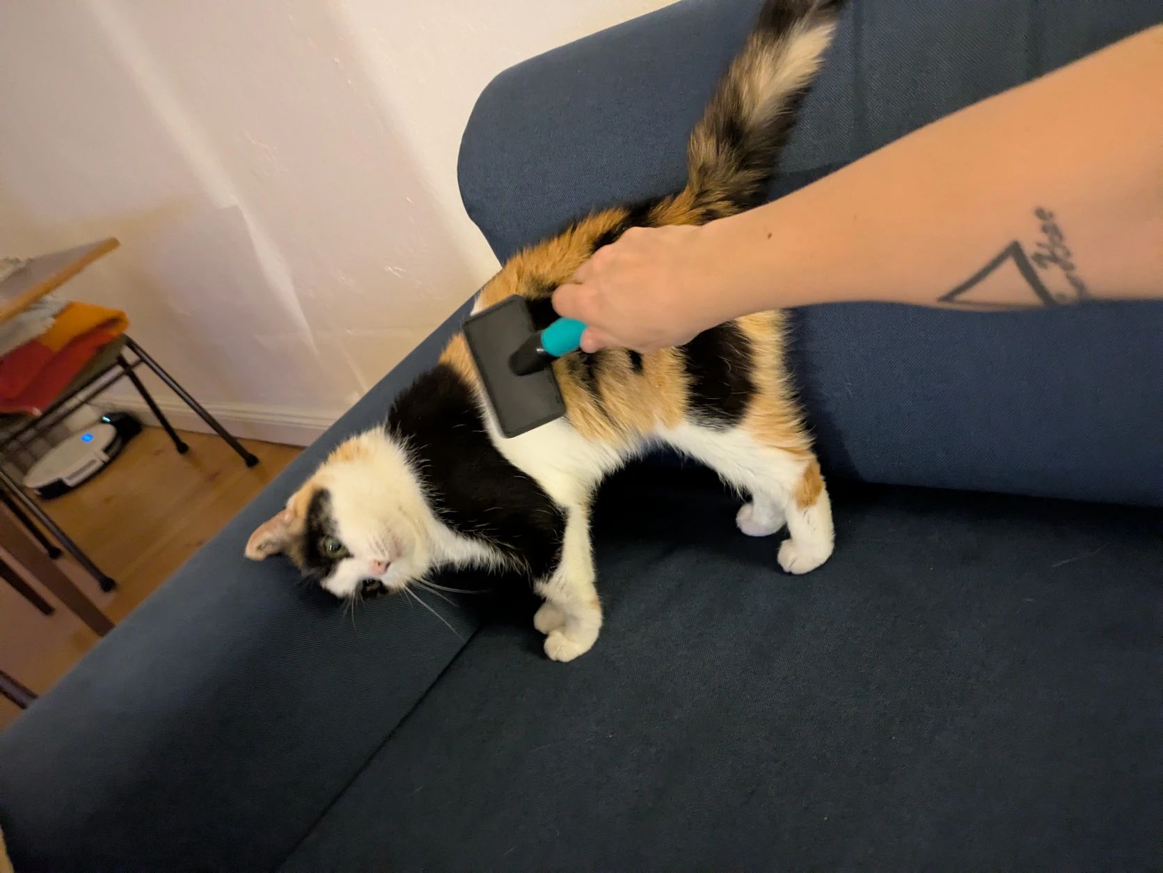 image-9