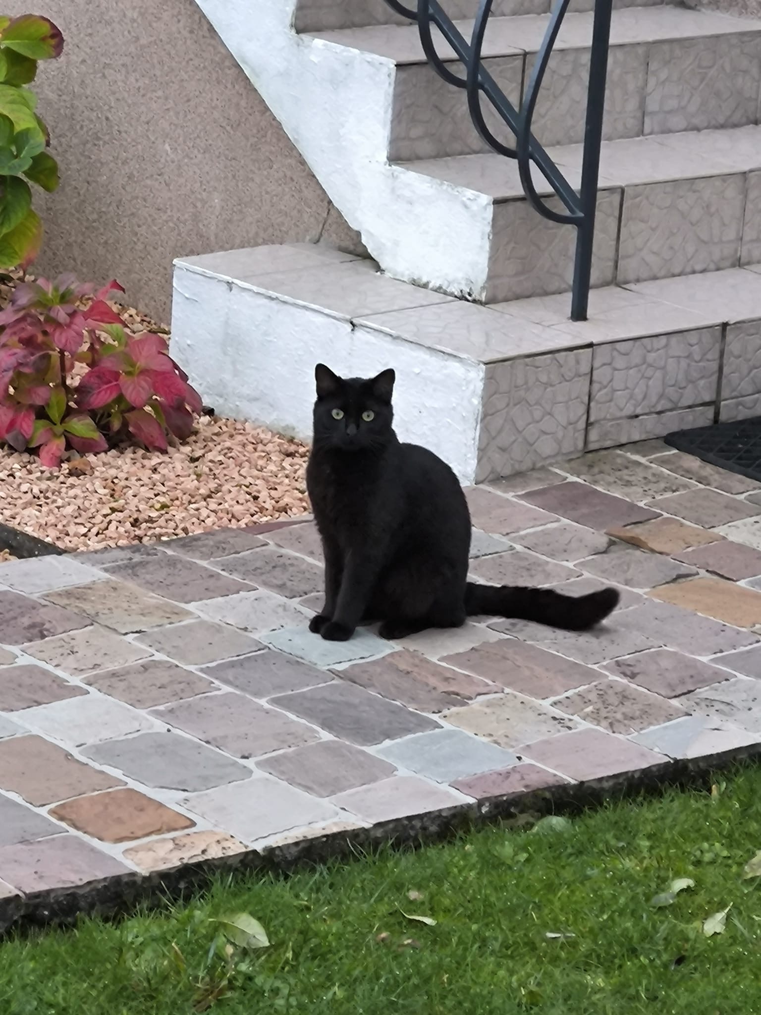 image-18