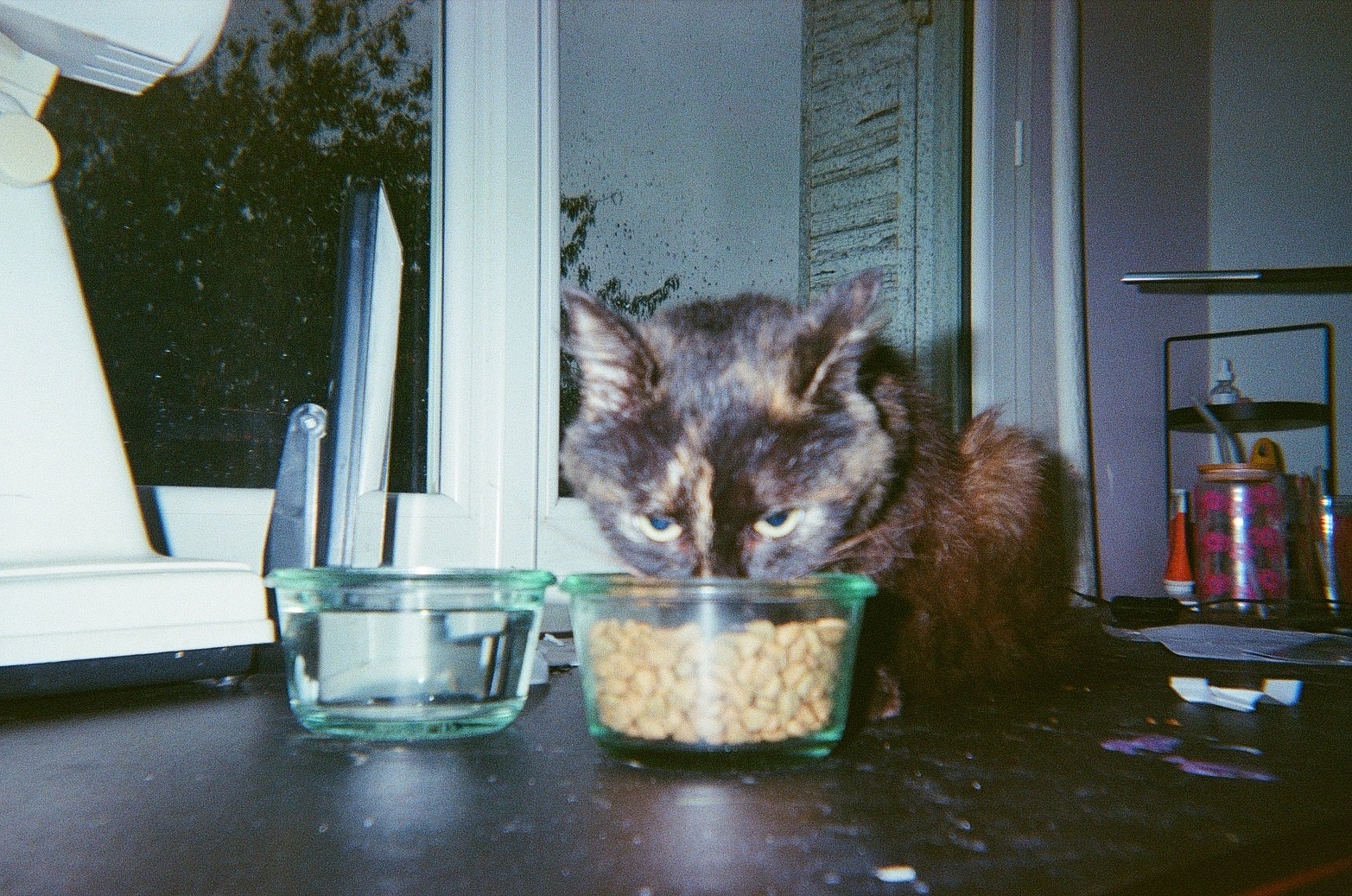 image-20