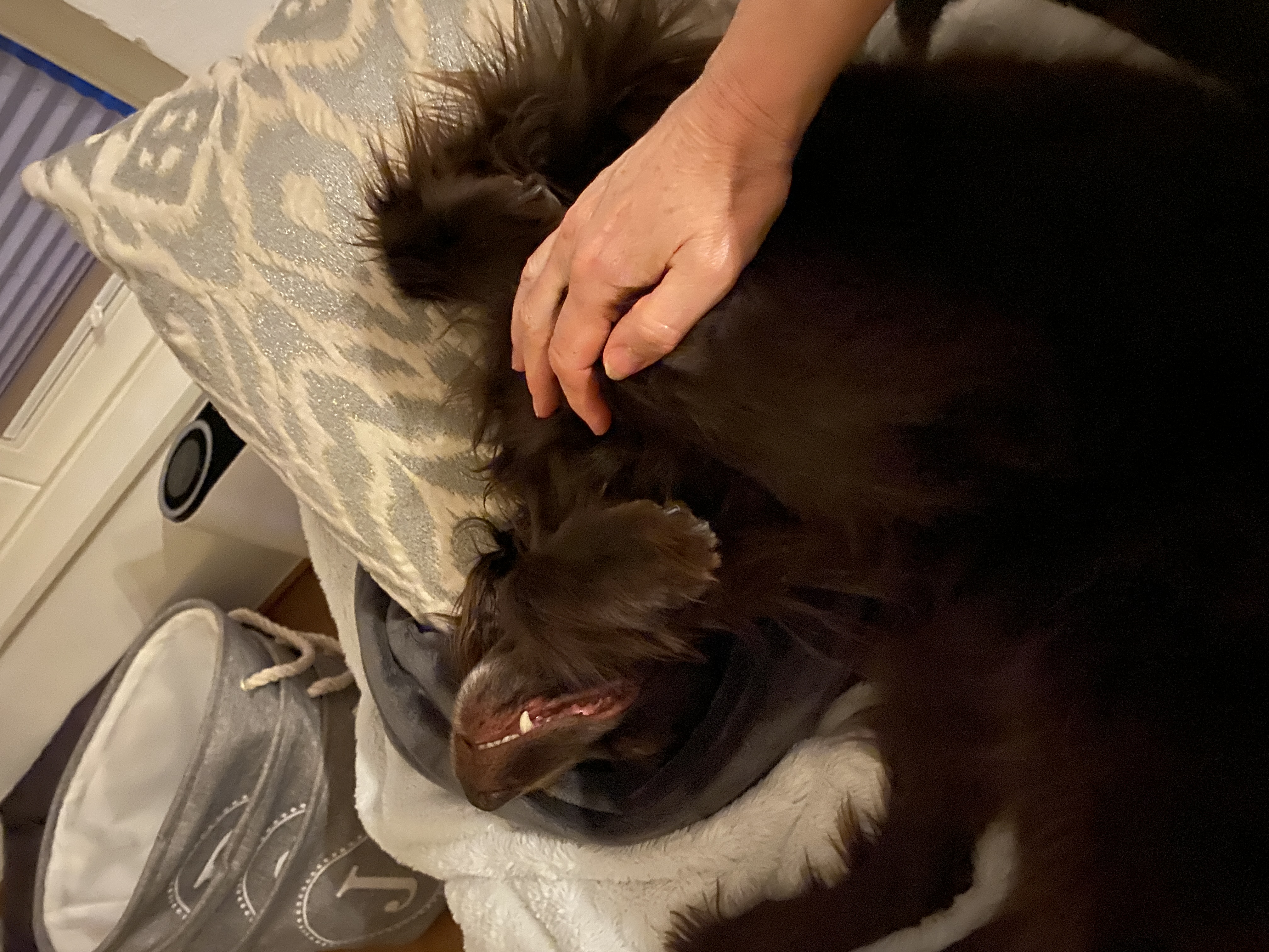 image-8