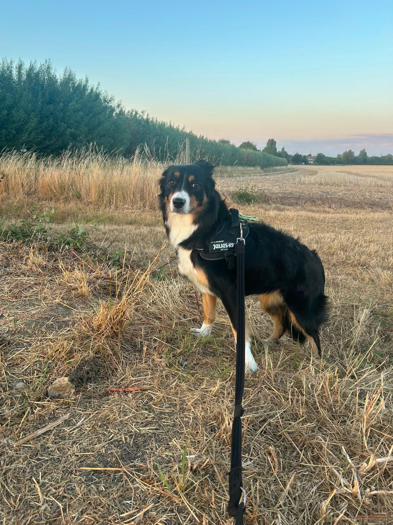 image-6