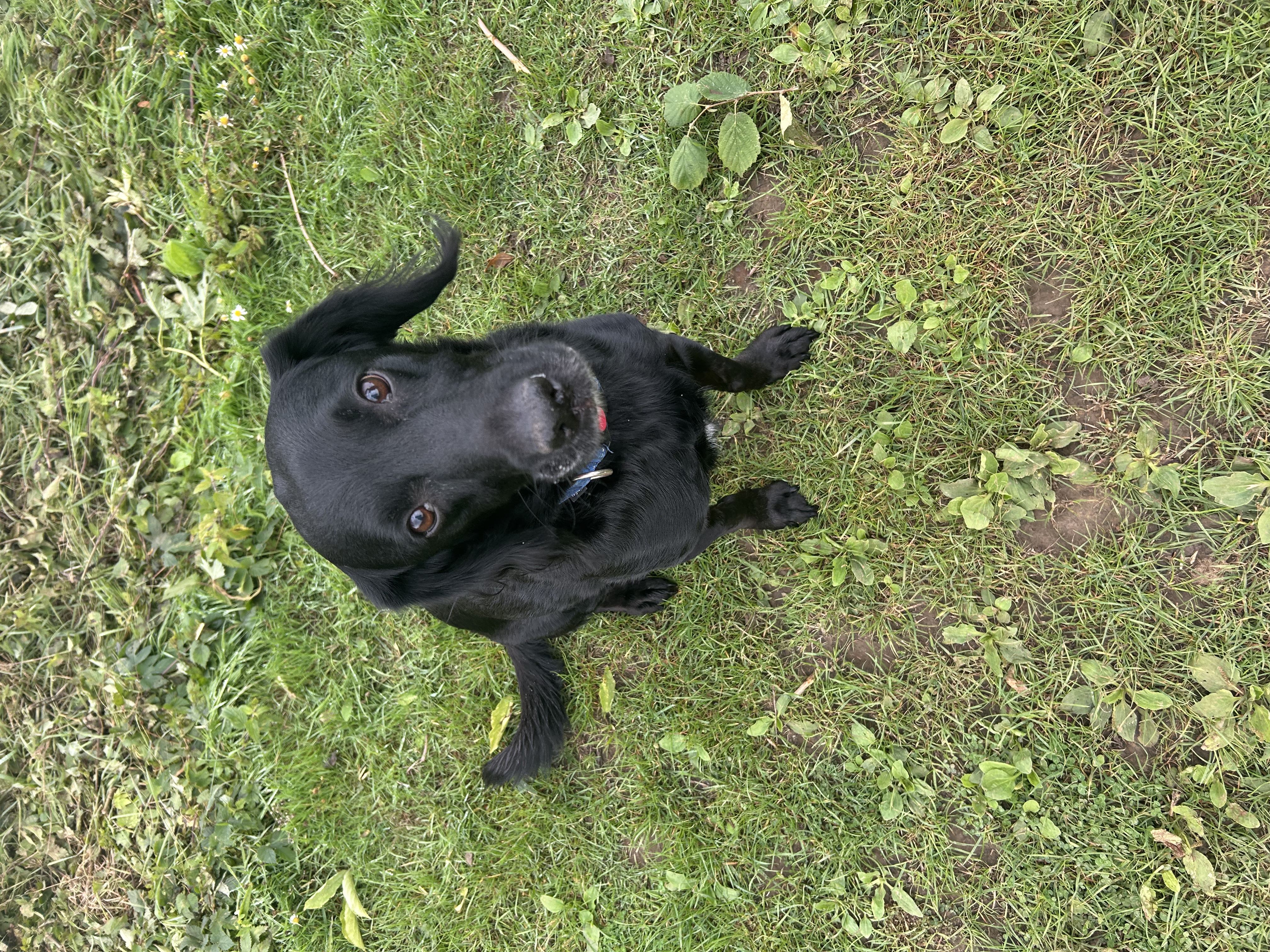 image-1
