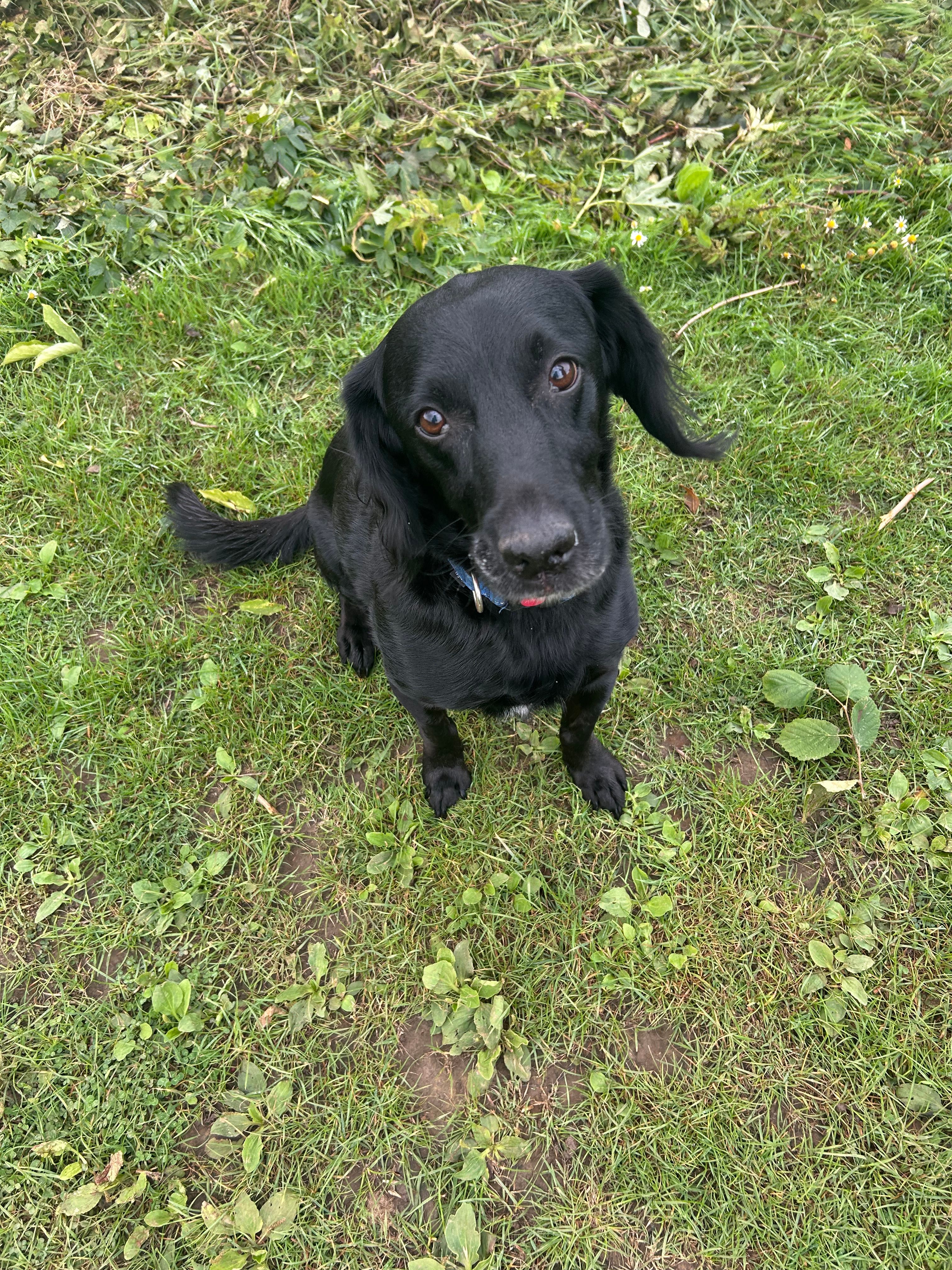 image-1
