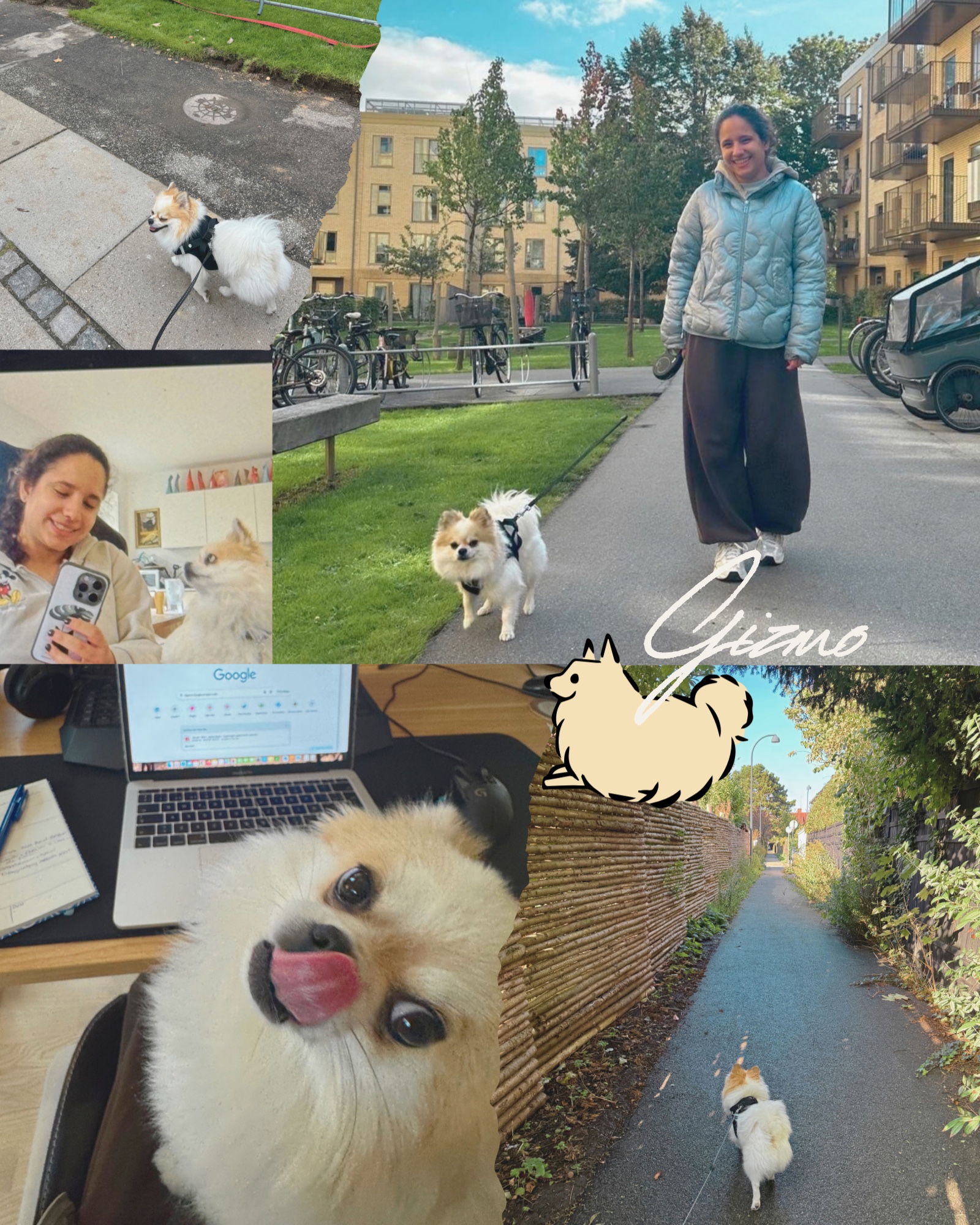 image-5