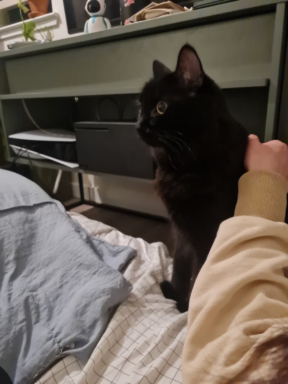 image-10